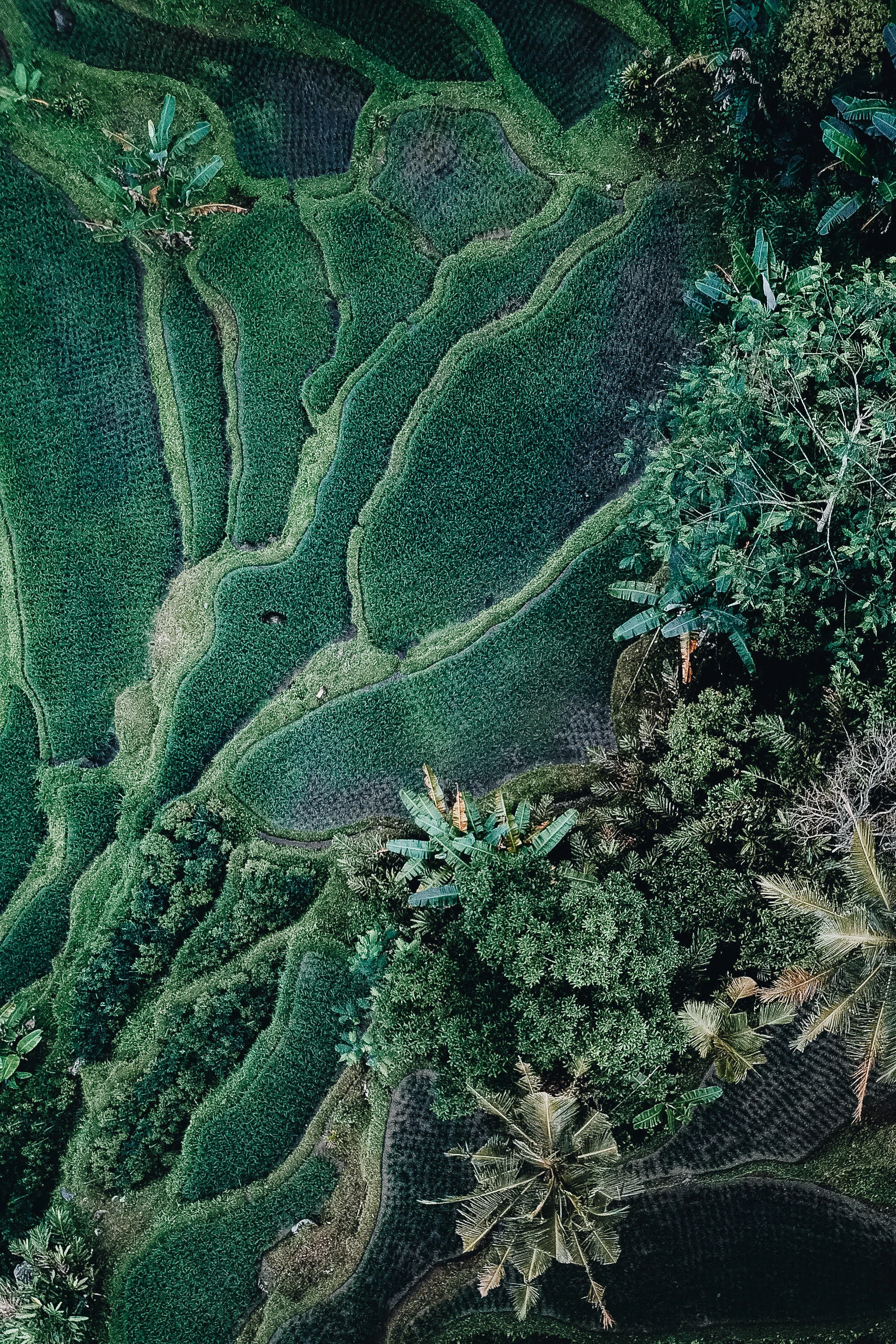 Upcoming Destinations