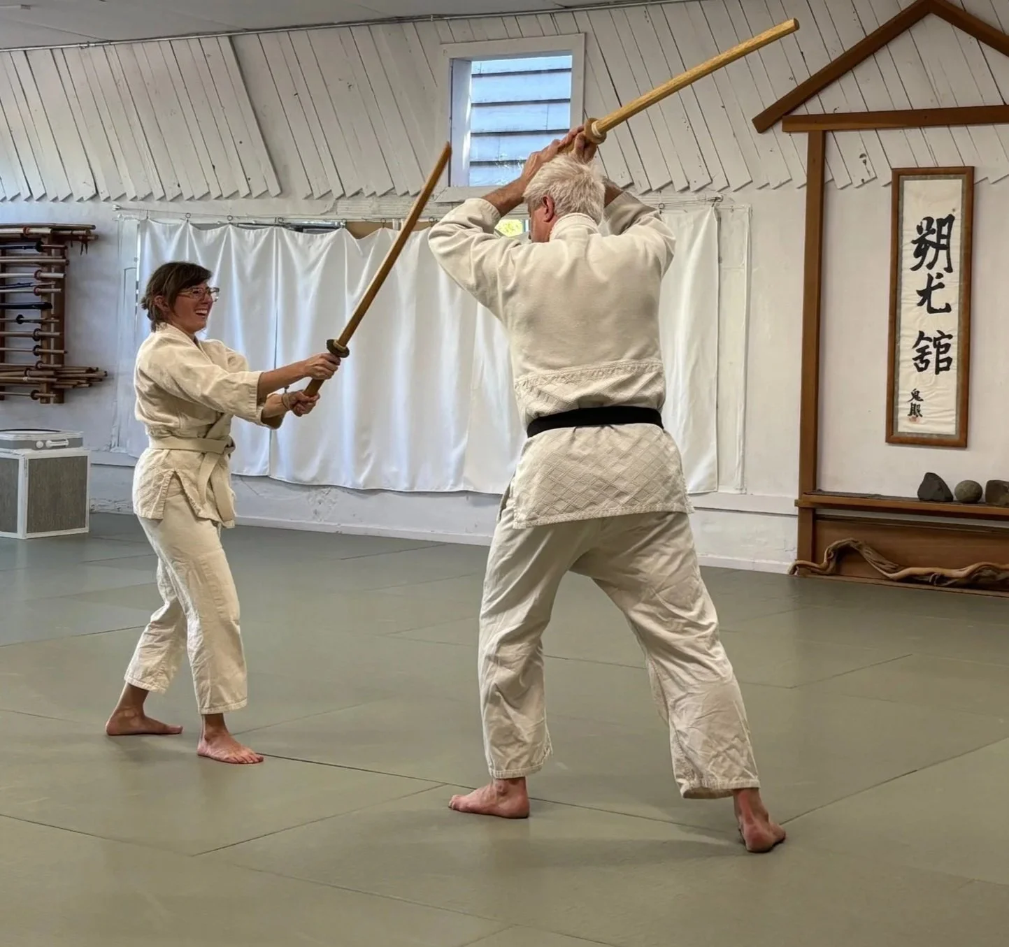 Applying the Method of Scaffolding to Aikido - by Xenia Wirth