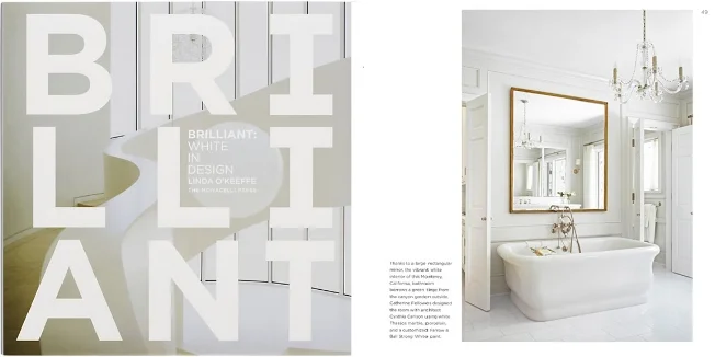 brilliant-white-in-design_comp.jpg