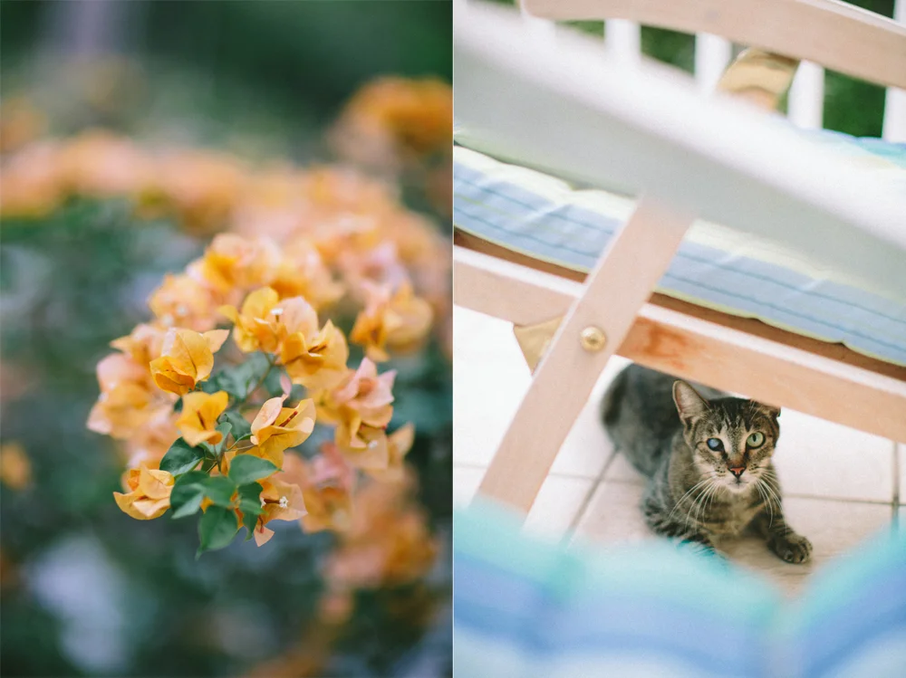 Paige Jones Photography