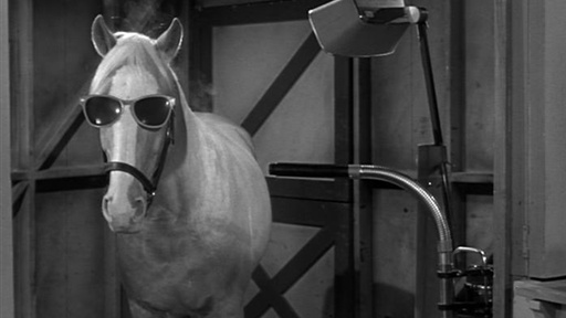 a portrait of a great behavioral economist as a young horse.