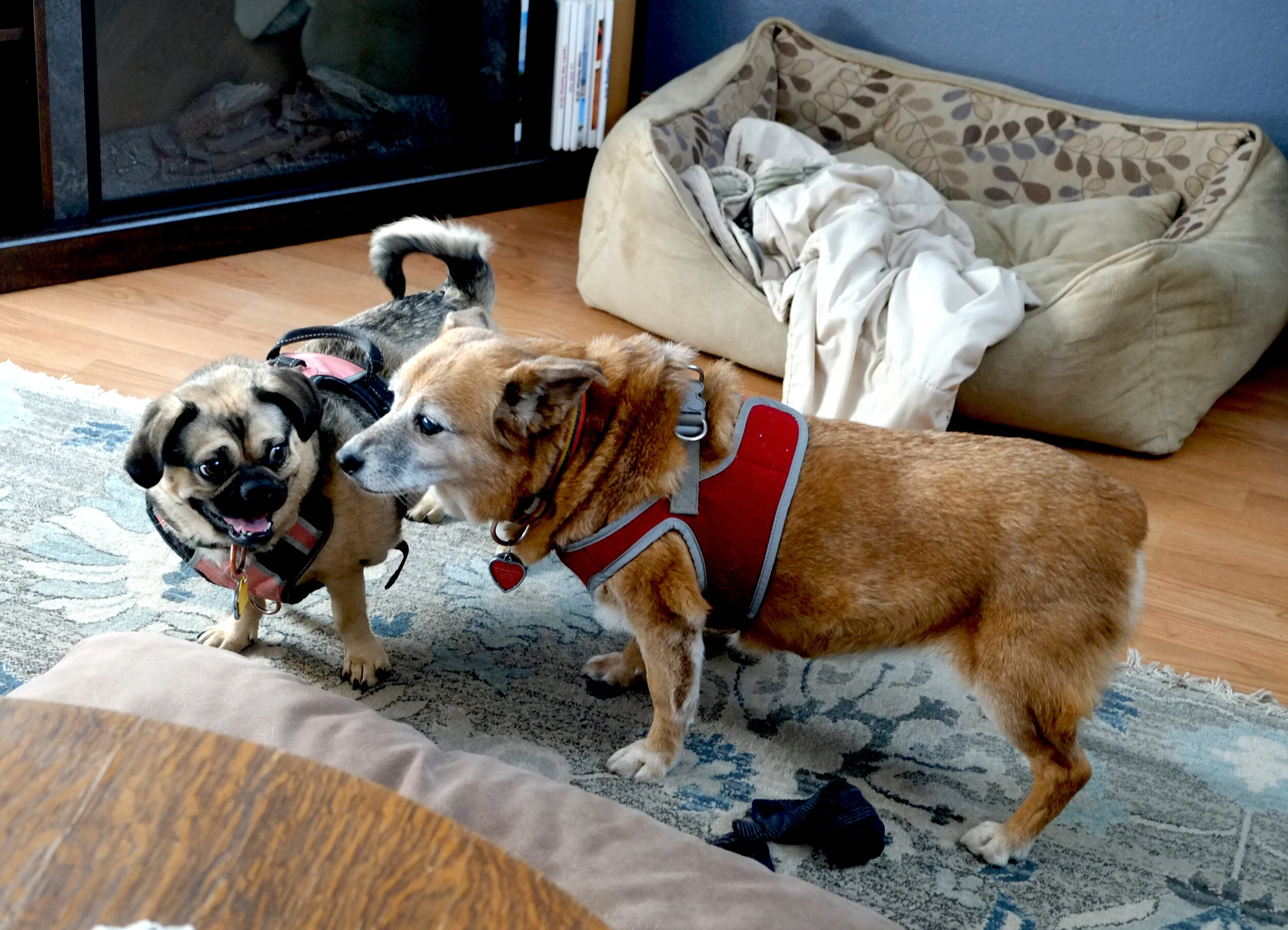 DSCF6885.jpg
