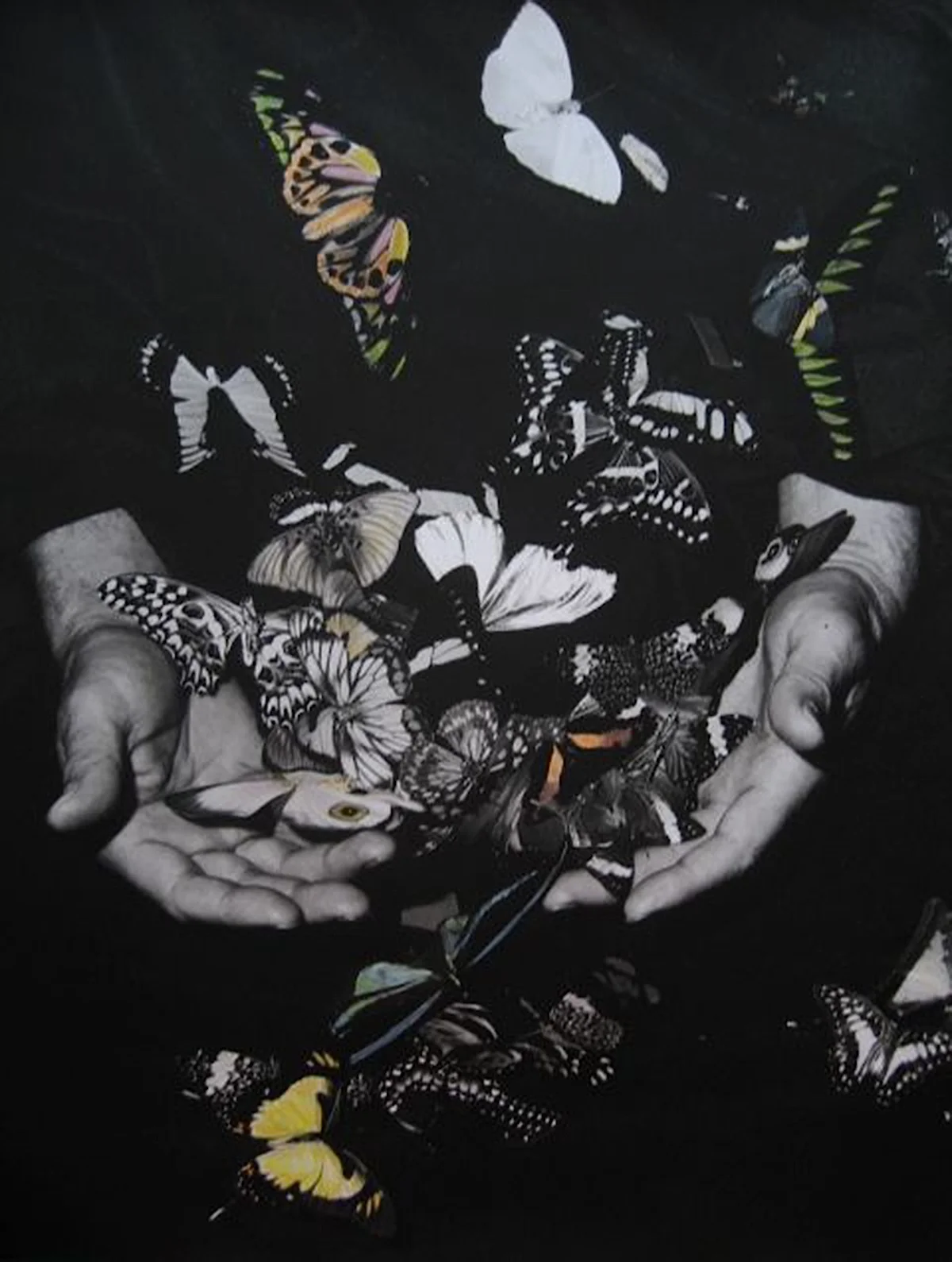 Rodger Camp | Huntington Beach, California | May 1999