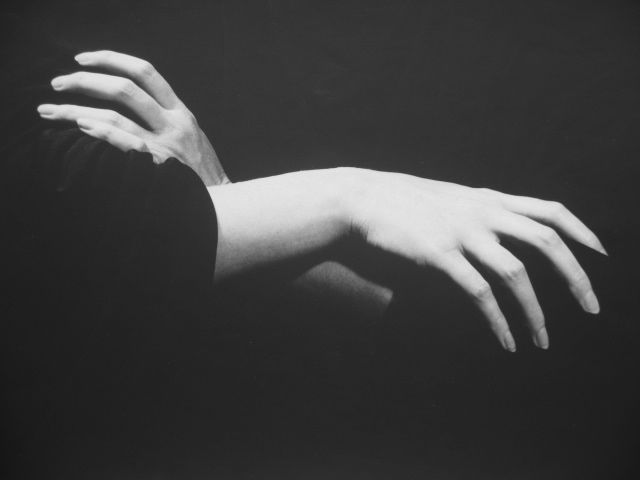 Valerie Jaudon | New York, New York | August 1984