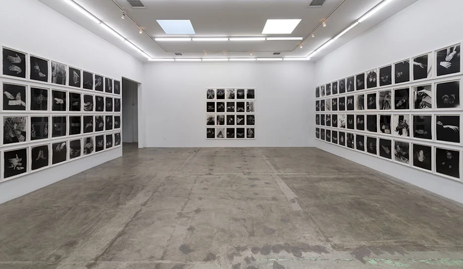  INSTALLATION VIEW Rena Small 