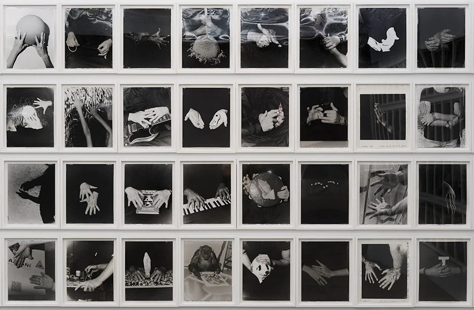  INSTALLATION VIEW Rena Small 