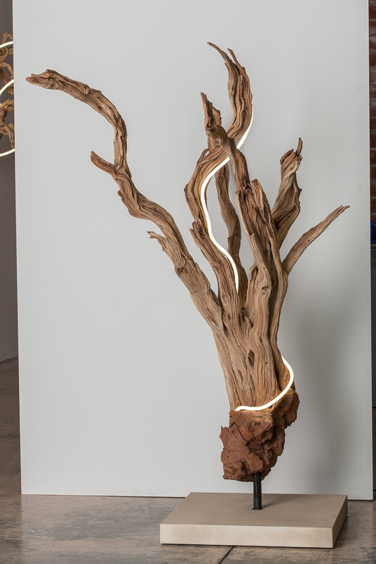 Untitled (wood/neon series 2)