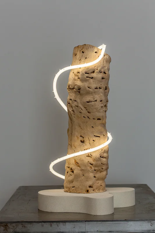 Untitled (wood/neon series 3)