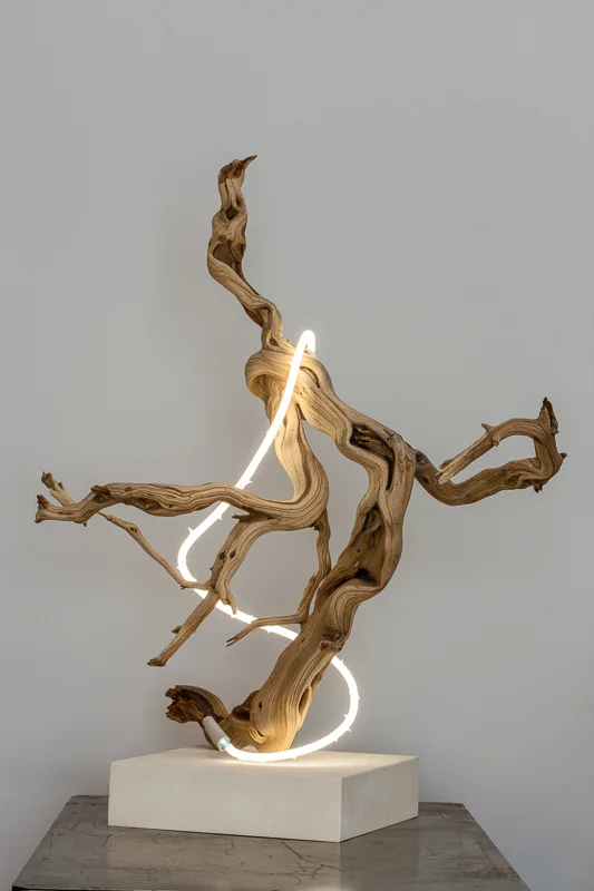 Untitled (wood/neon series 4)