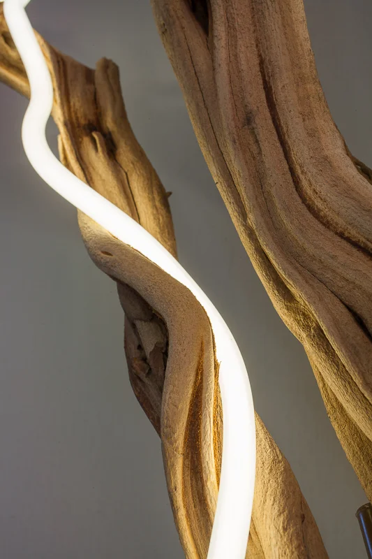 Untitled (wood/neon series 5)