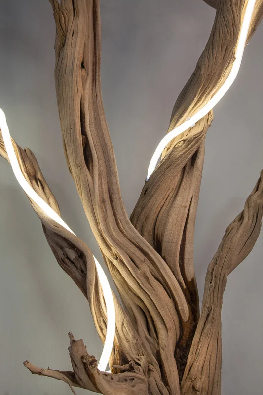 Untitled (wood/neon series 5)