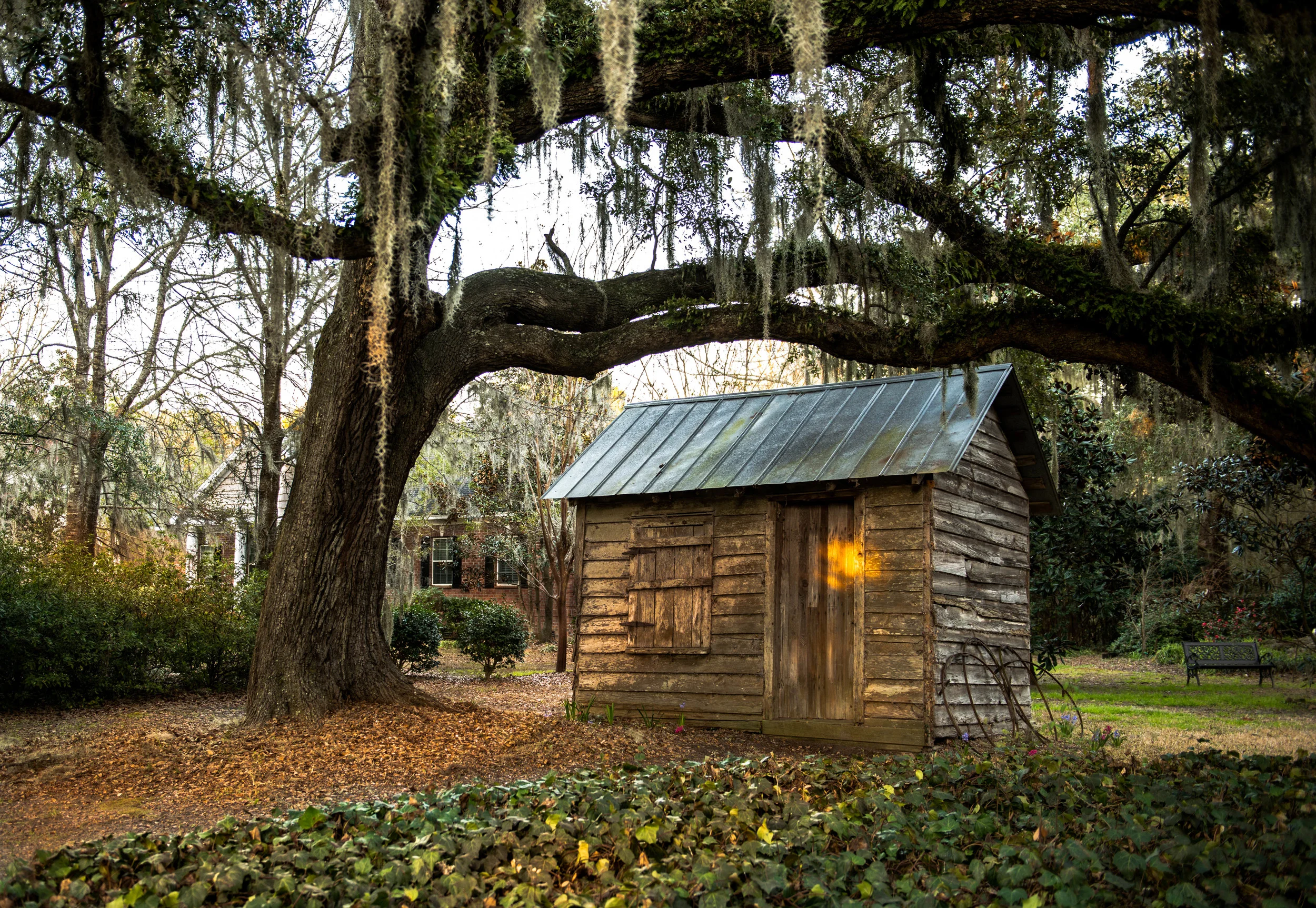Low Country-1.jpg
