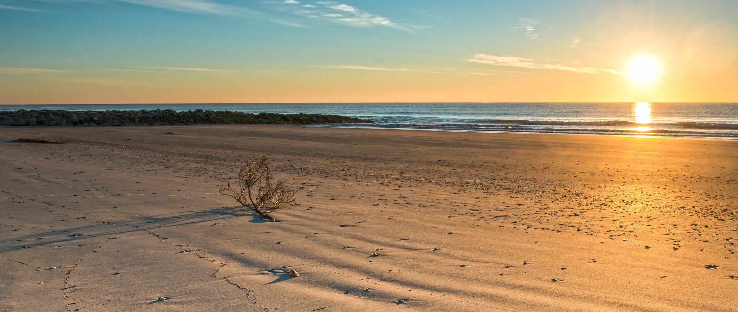 Low Country-9.jpg