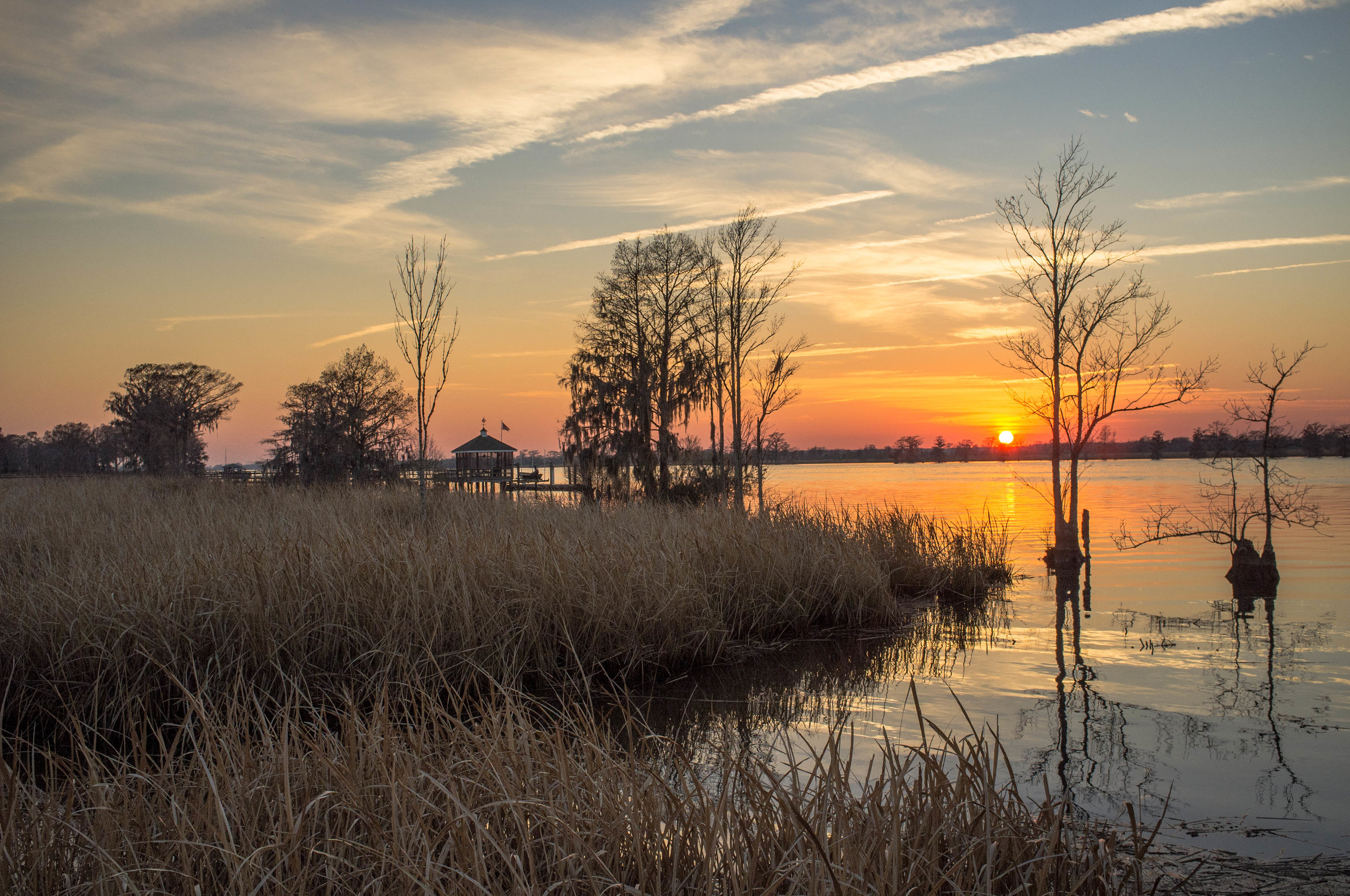 Low Country-13.jpg