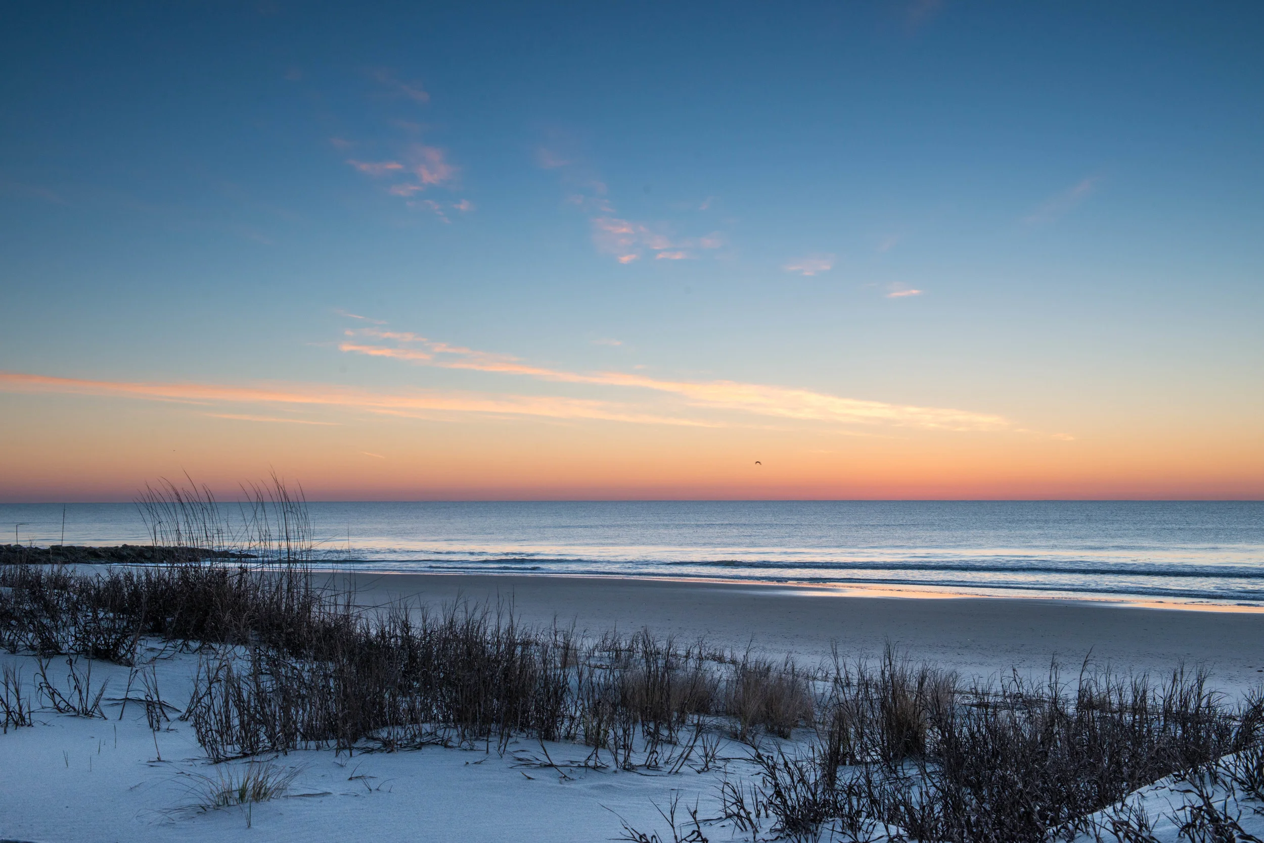 Low Country-20.jpg