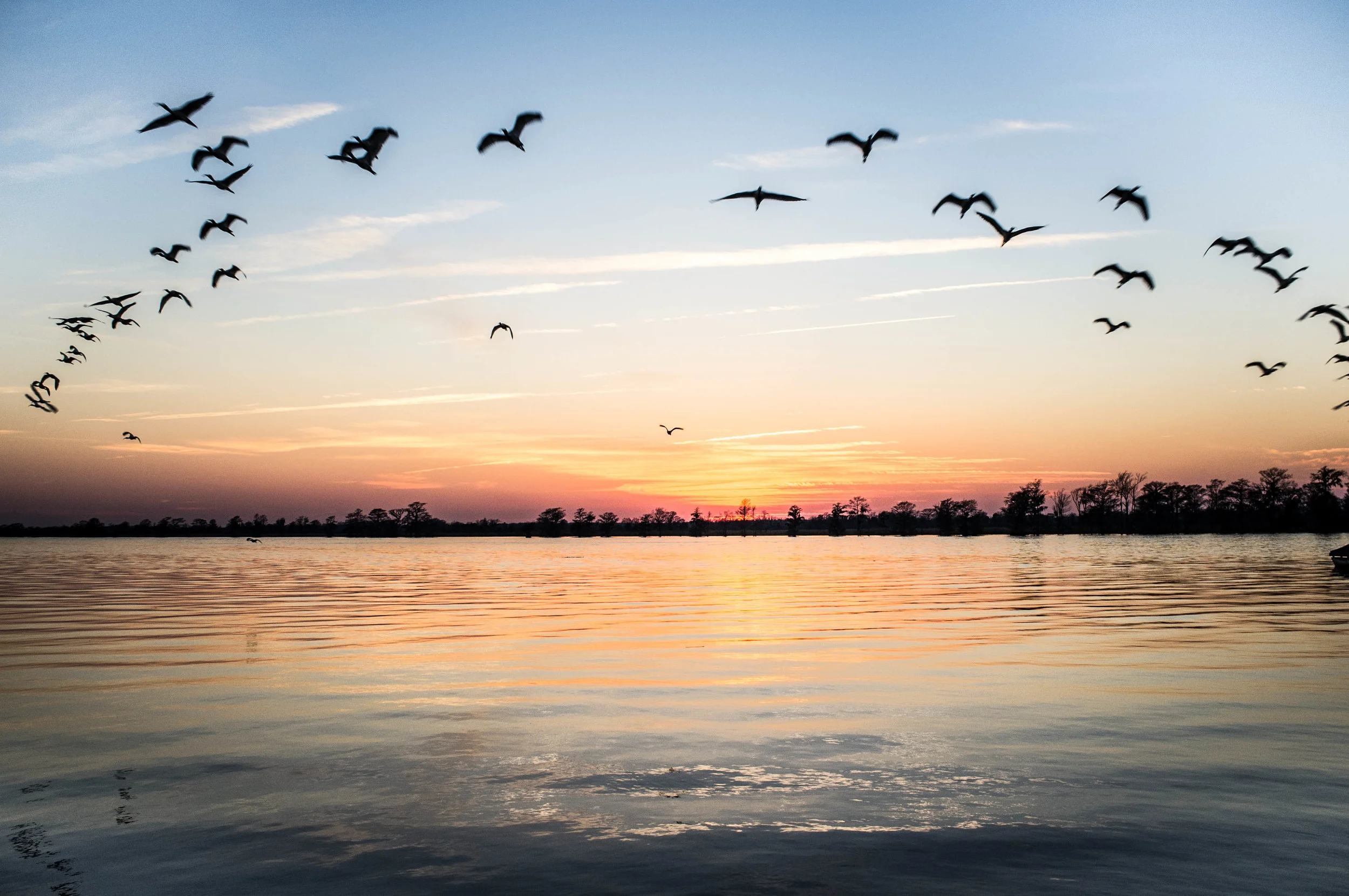 Low Country-28.jpg