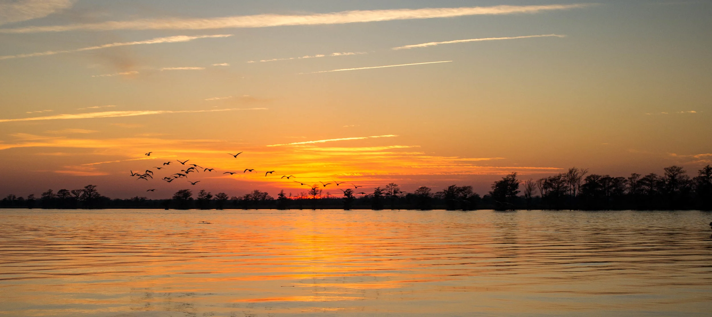 Low Country-27.jpg