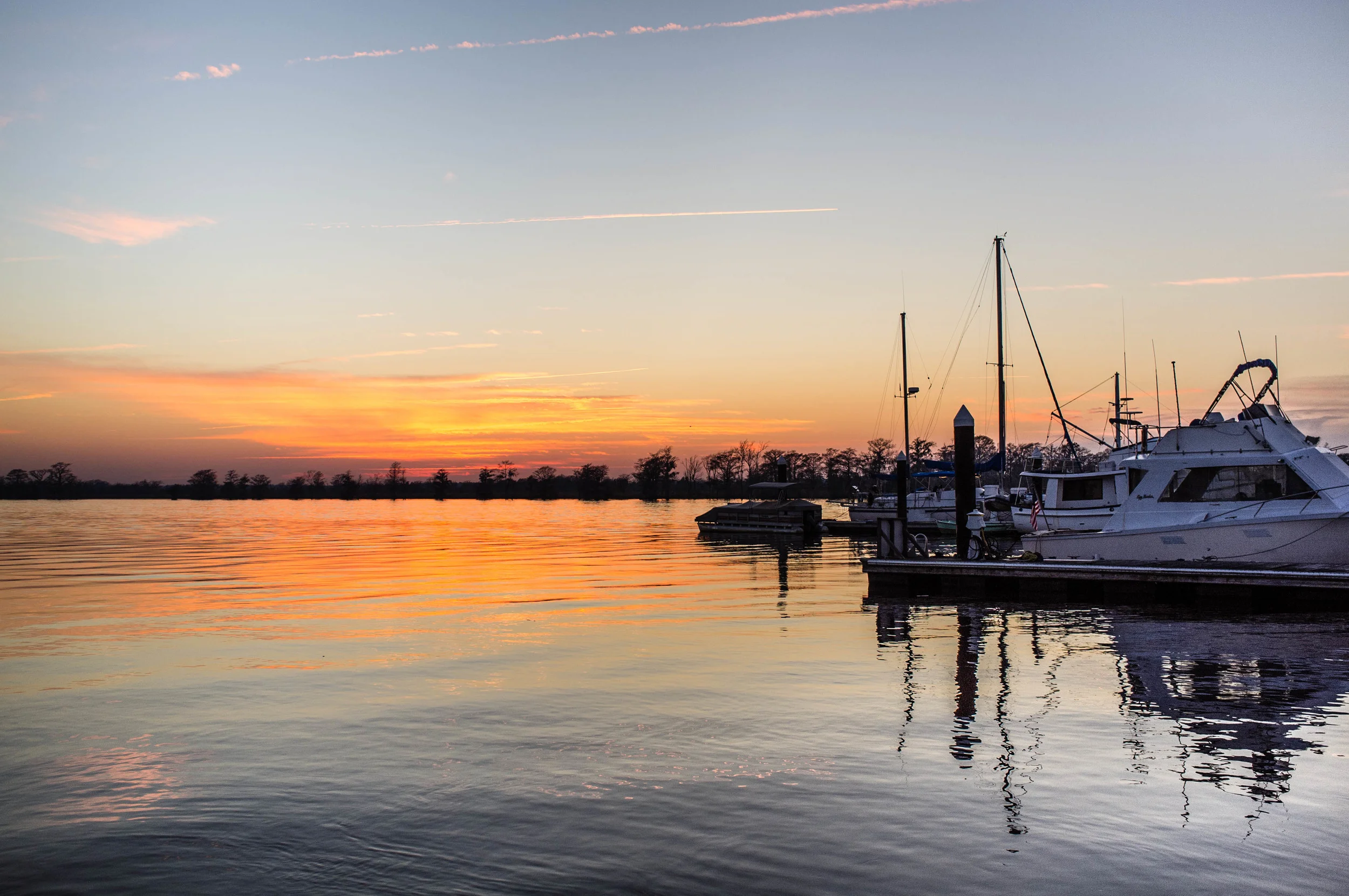 Low Country-29.jpg