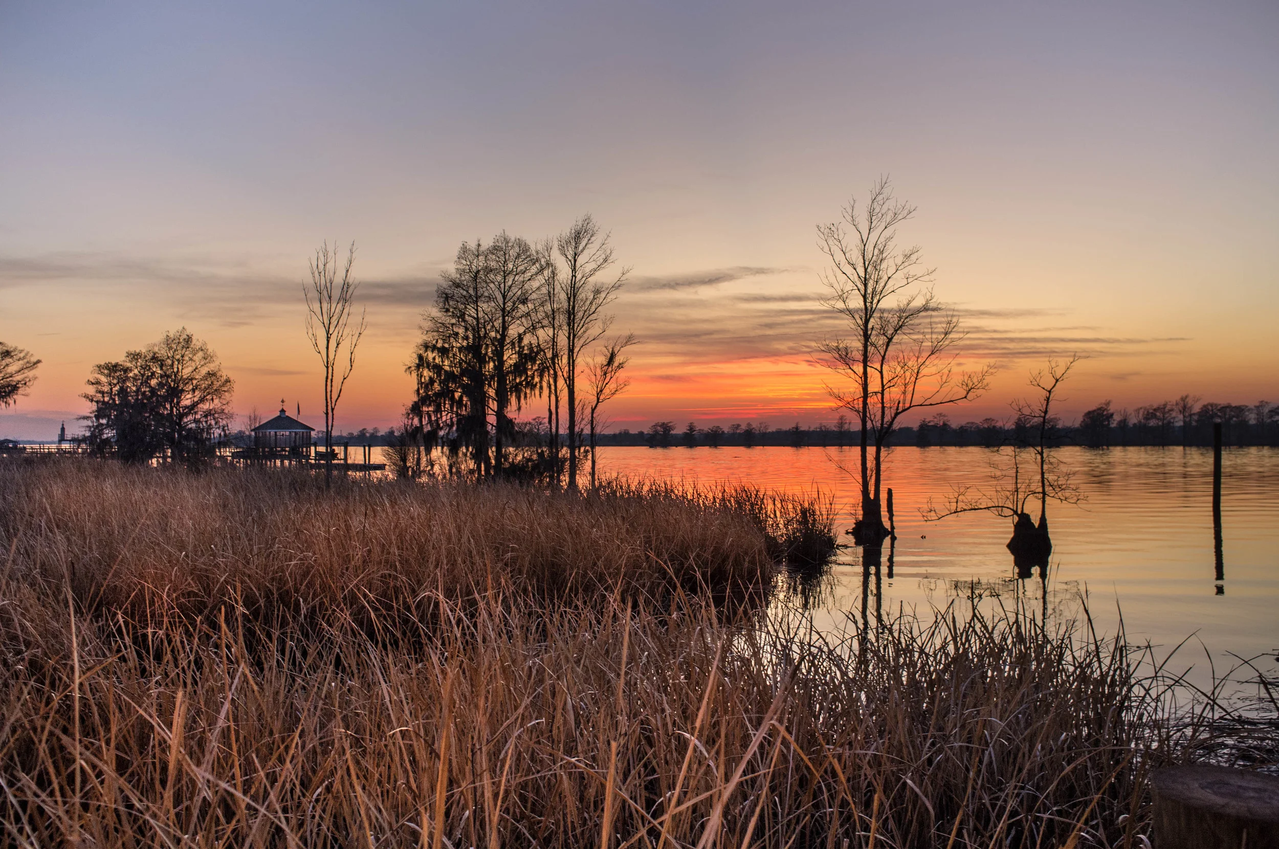 Low Country-31.jpg