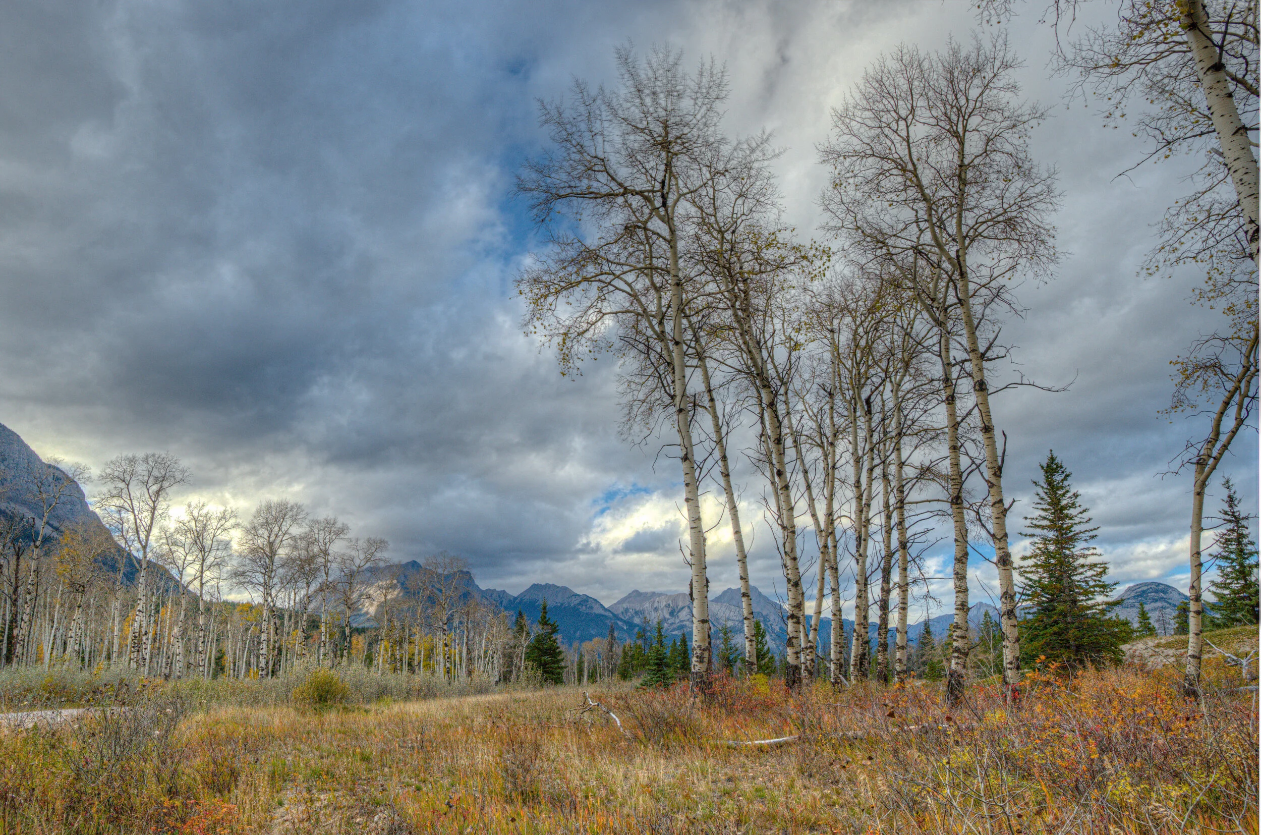 Canadian Rockies-4.jpg