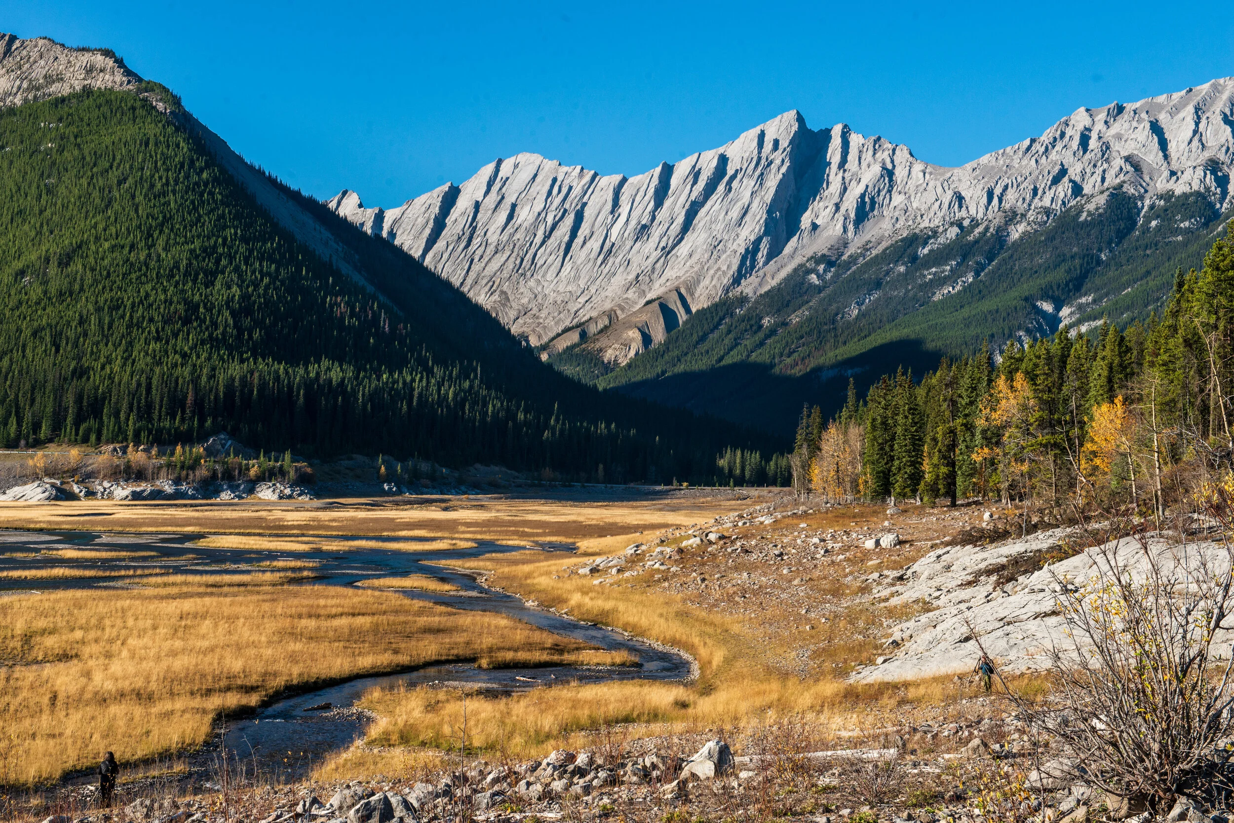 Canadian Rockies-6.jpg