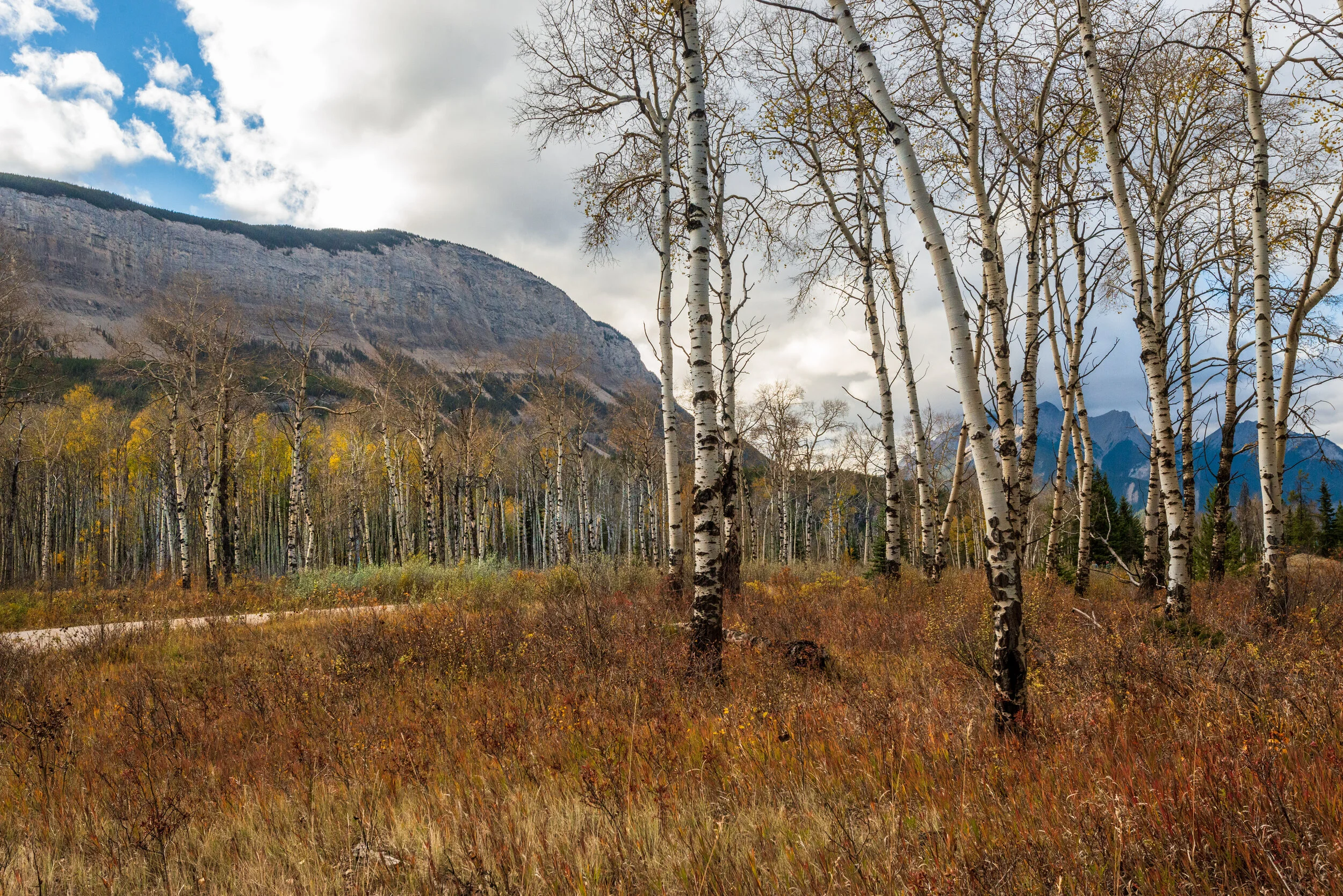 Canadian Rockies-1-2.jpg