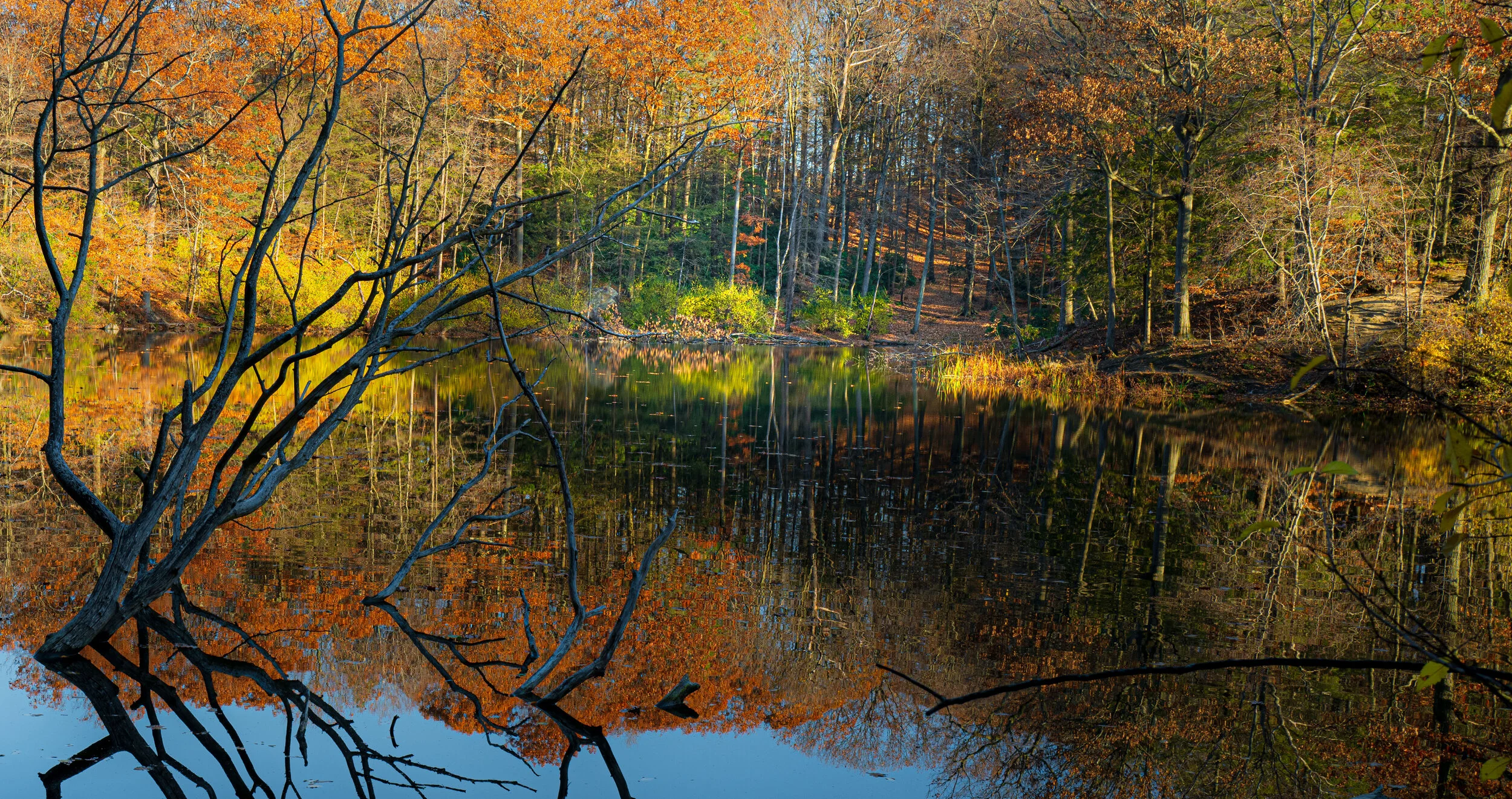 Durand Eastman Park  PT 5