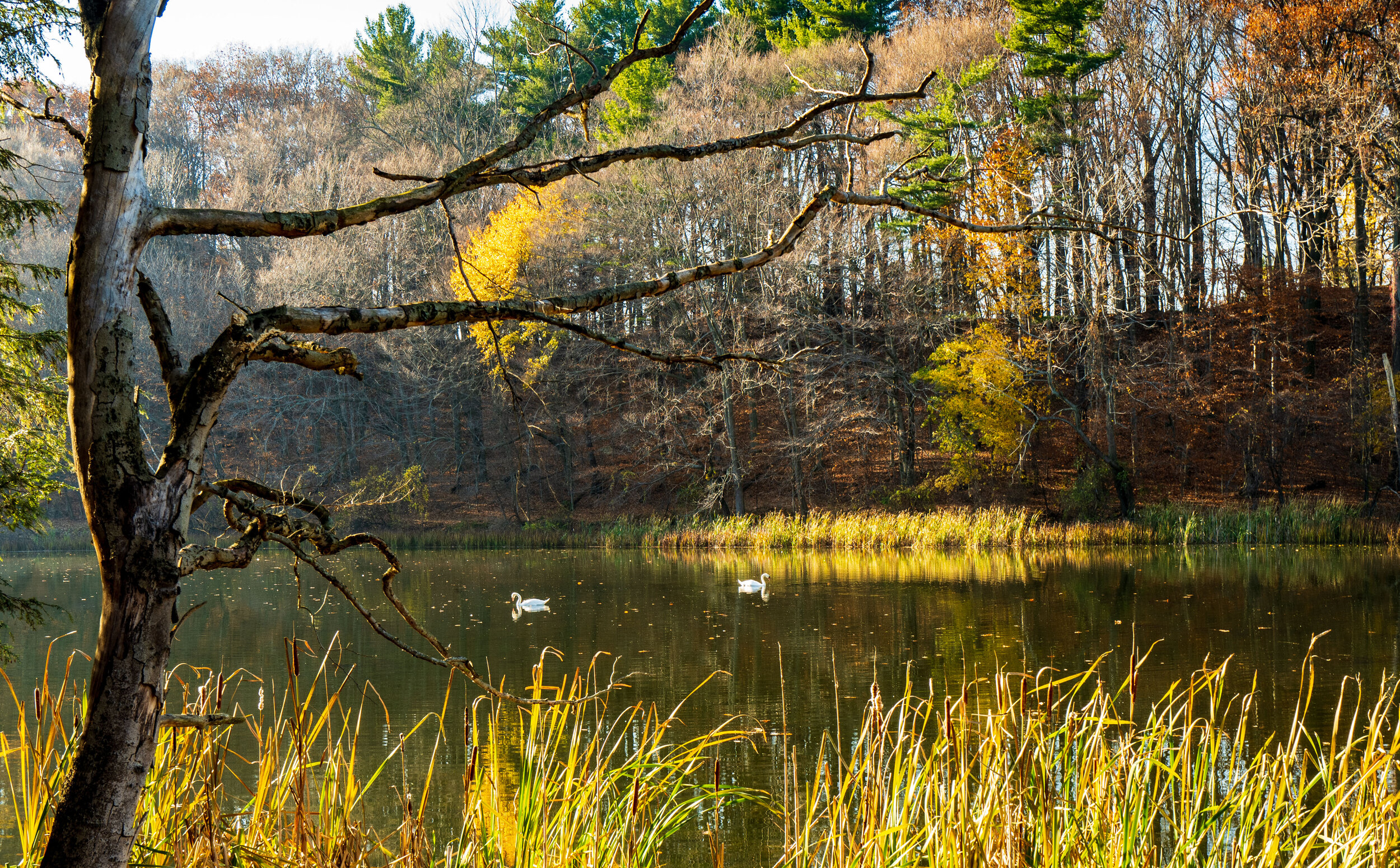 Durand Eastman Park  PT2