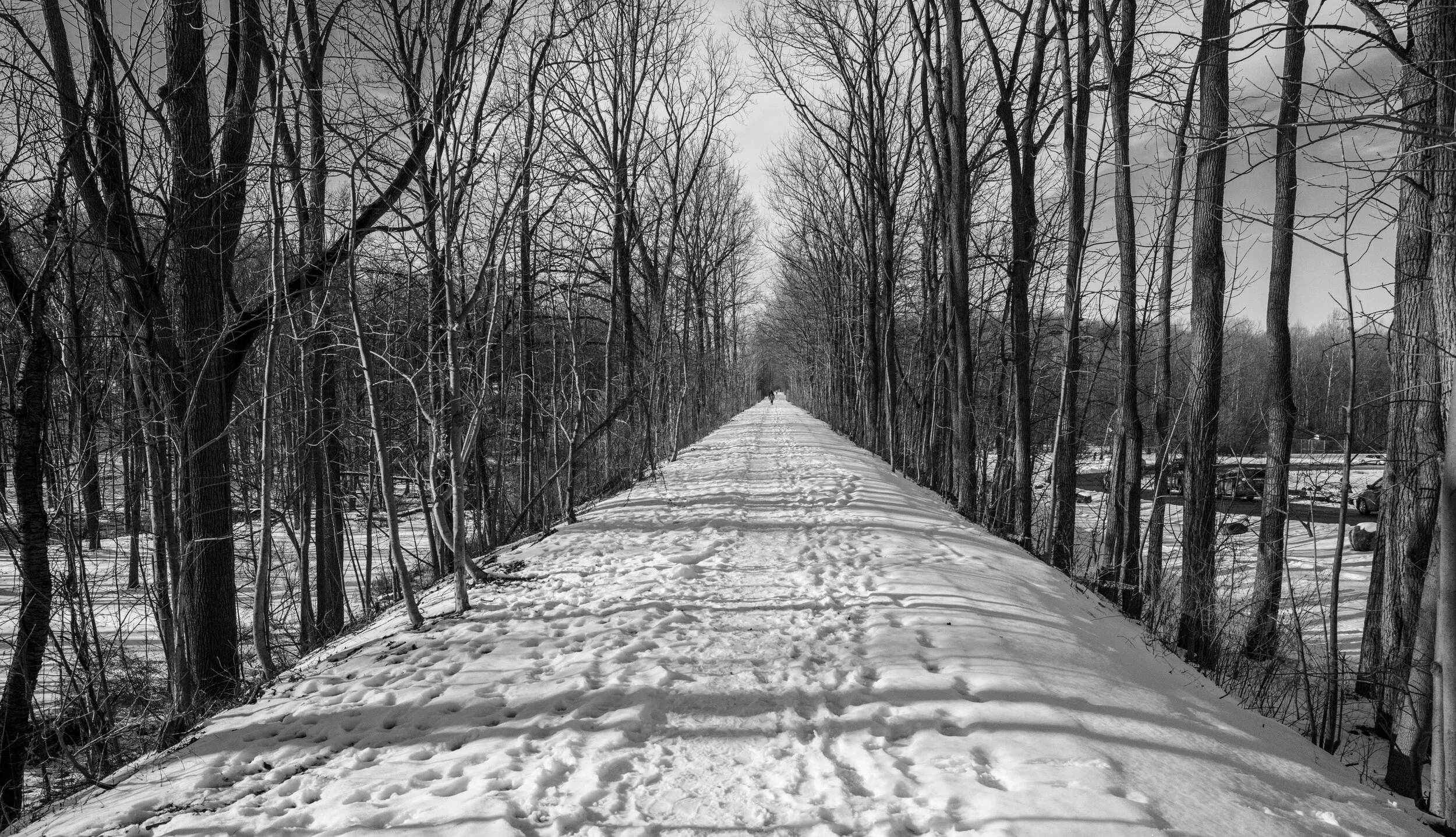 Auburn Trail  PT19