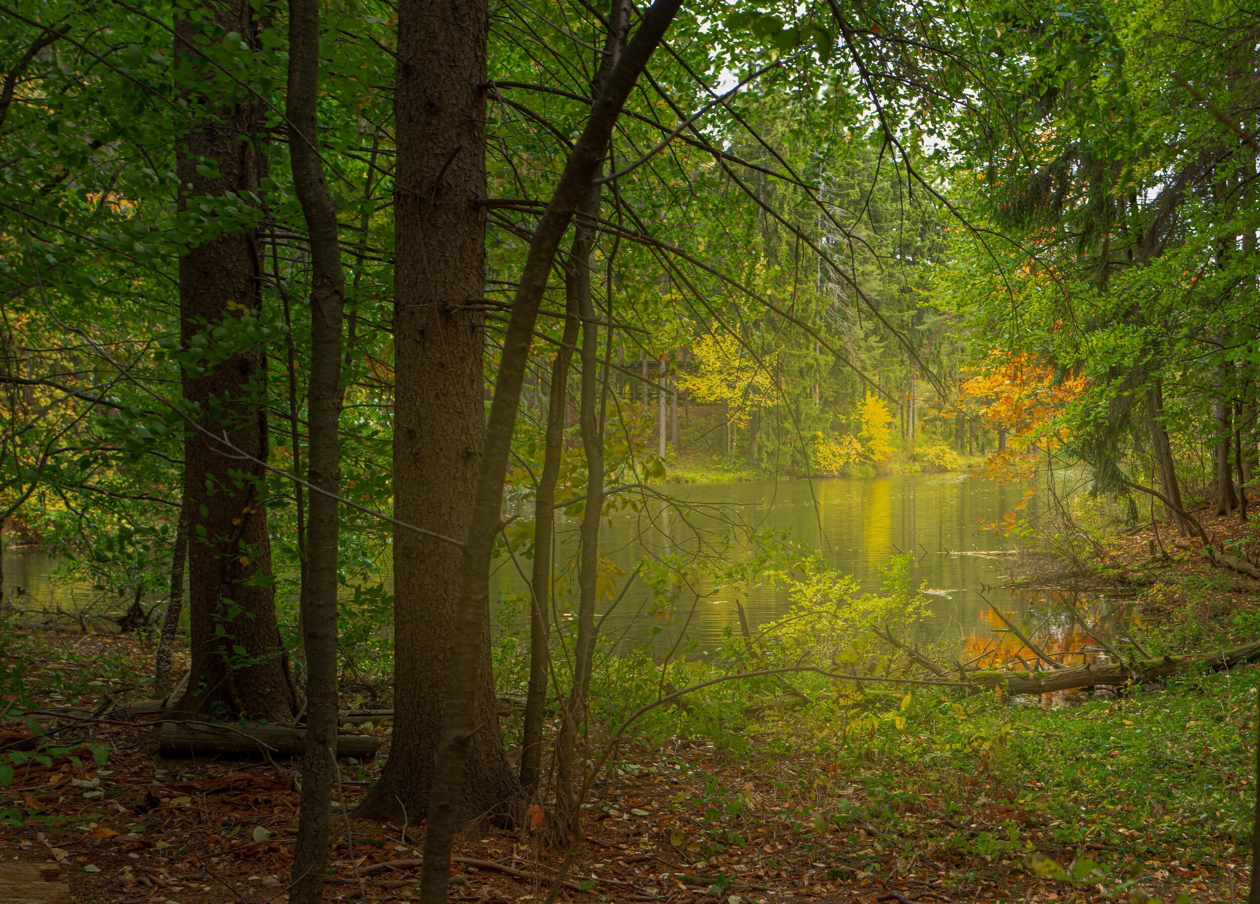 Boughton Park PT23