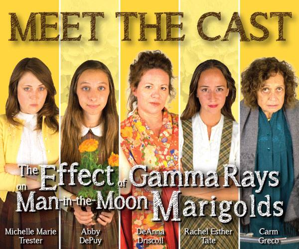 THE EFFECT OF GAMMA RAYS ON MAN-IN-THE-MOON MARIGOLDS