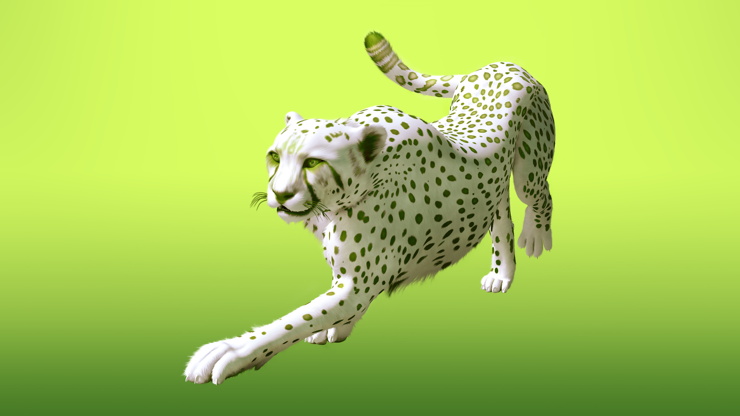 Cheetah2_v04_small.jpg