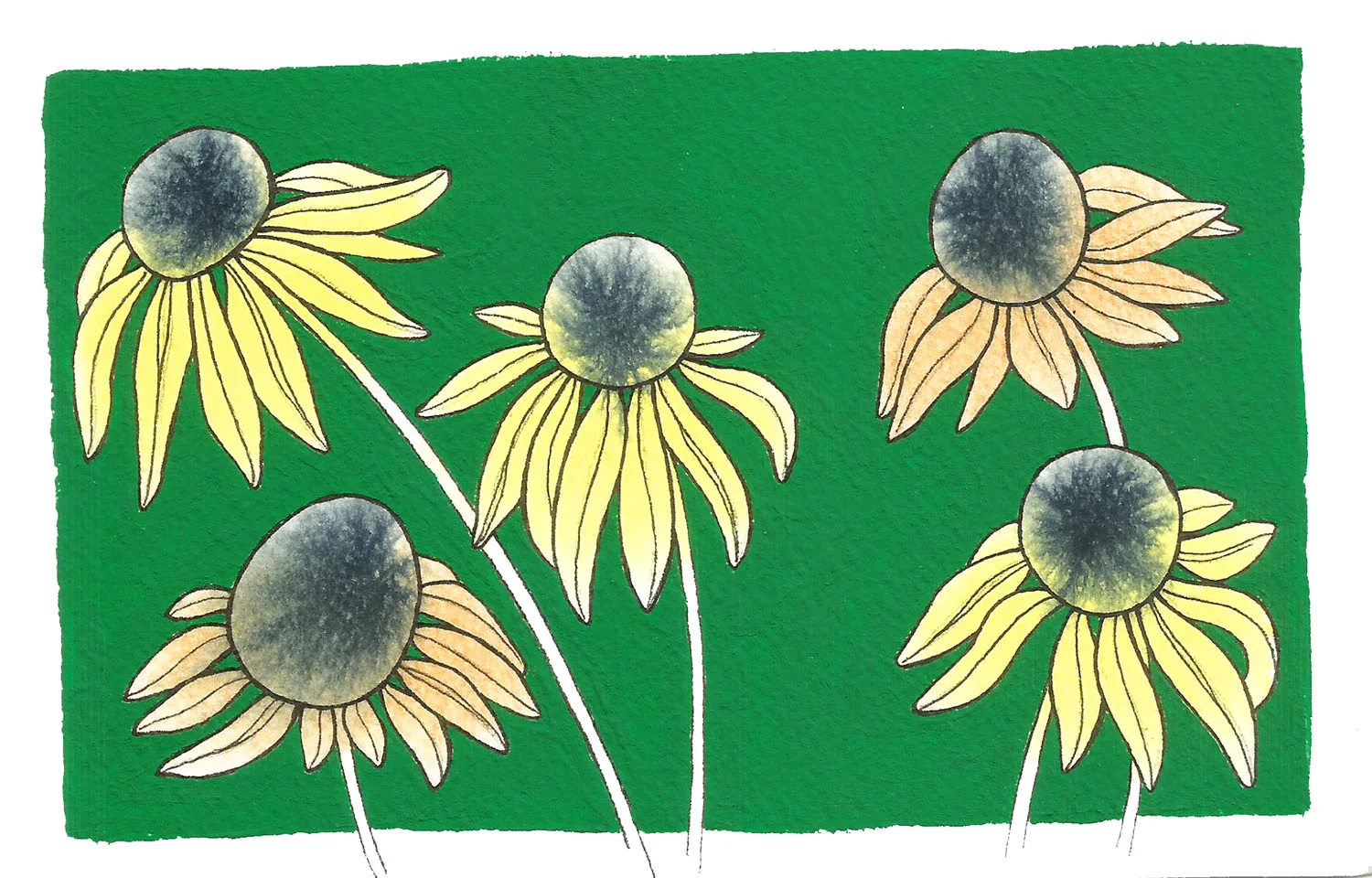 blackeyedsusan.jpg
