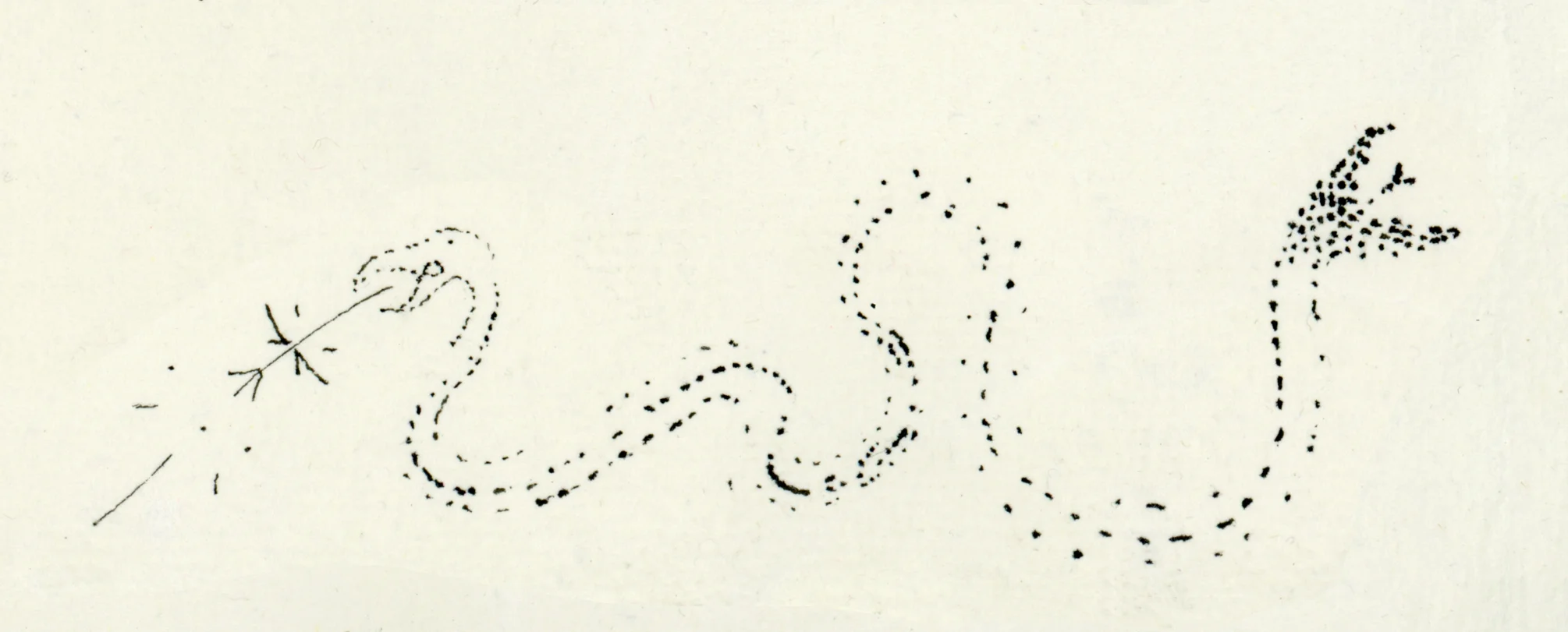 2snakedetail.jpg
