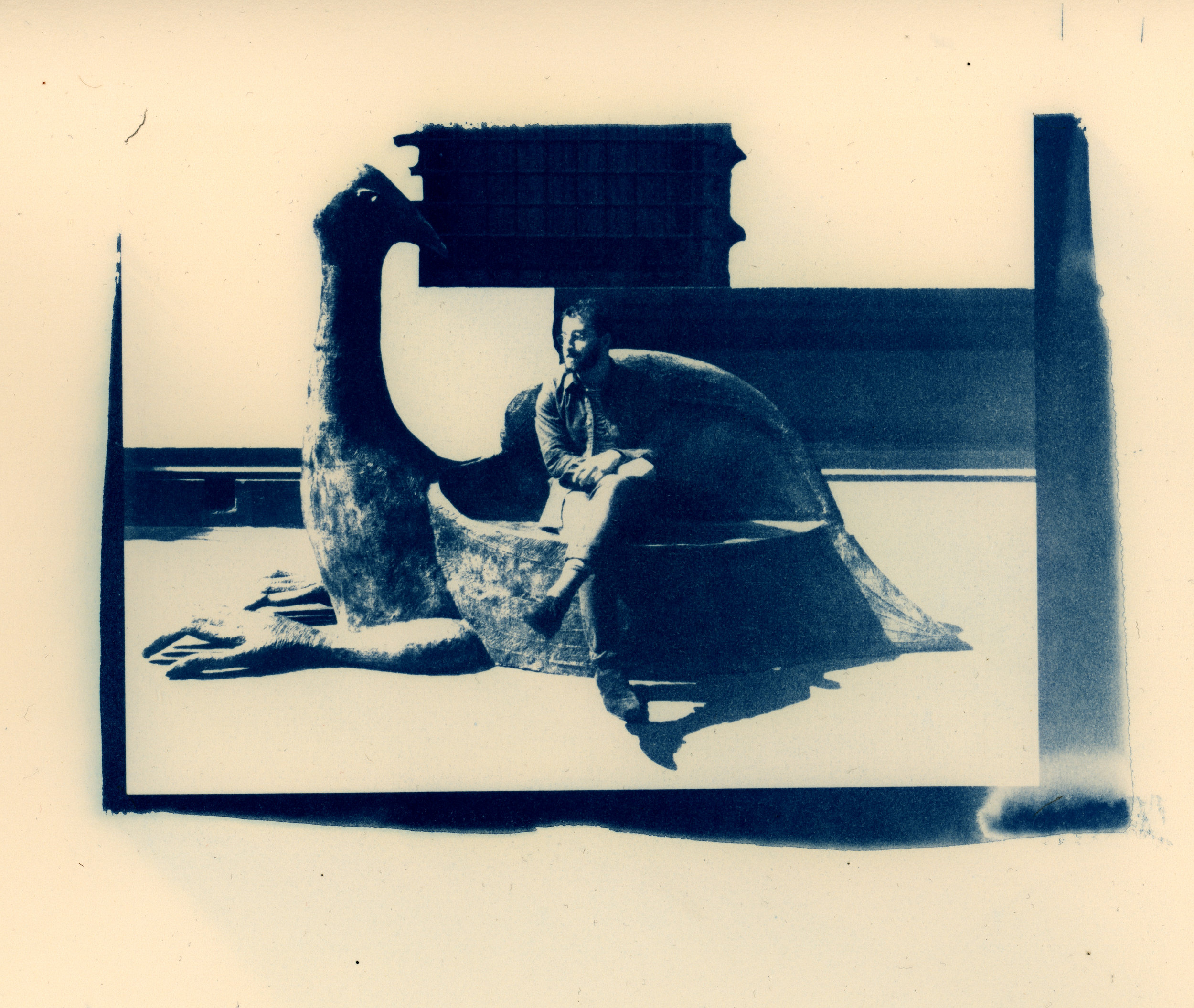 cyanotype of some creaturely contemplations from mexico city last winter