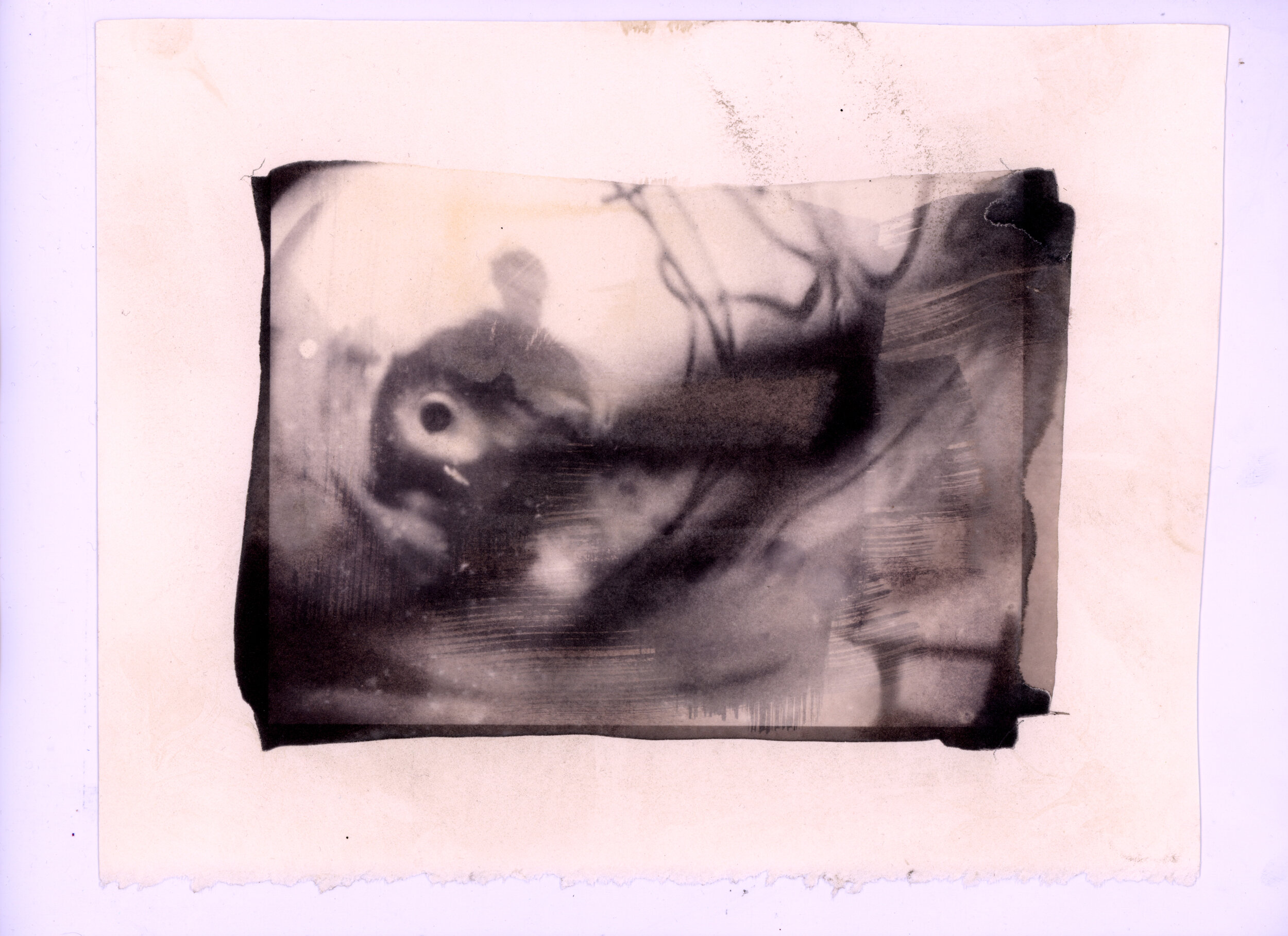 kallitype of my father as a phantasm