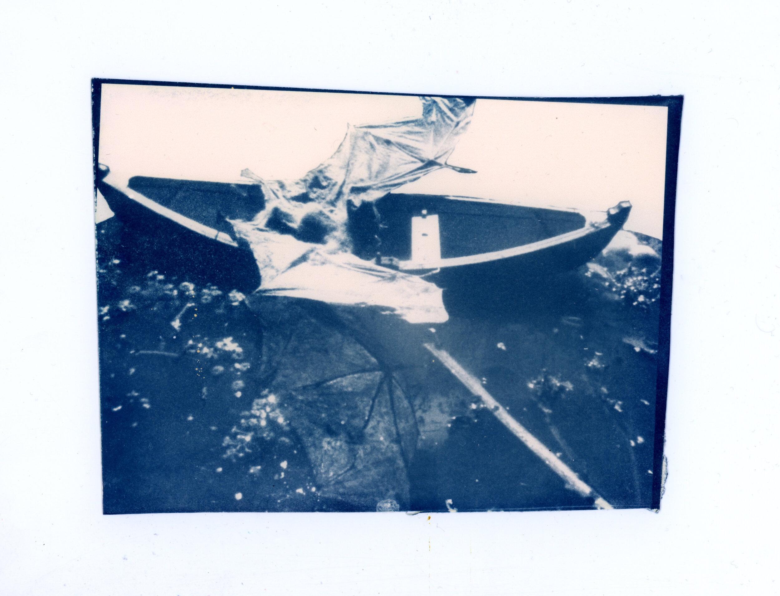 bat boat blue.jpg