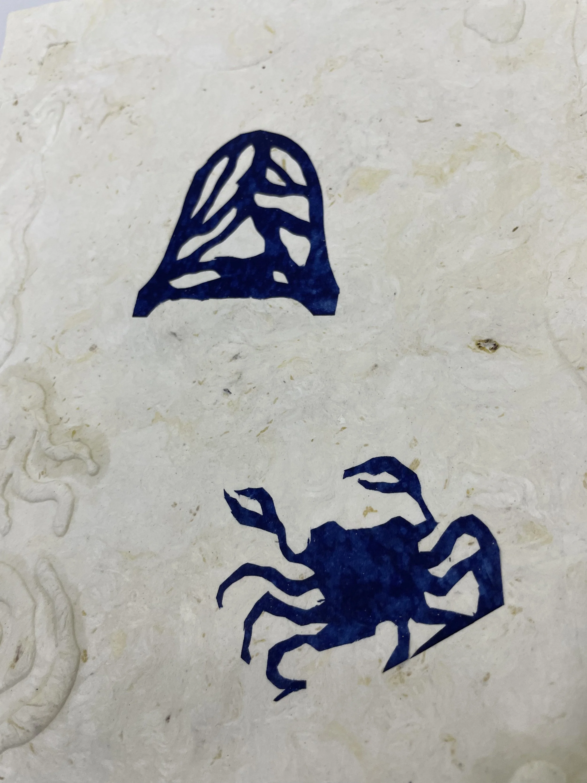 crabish.jpg