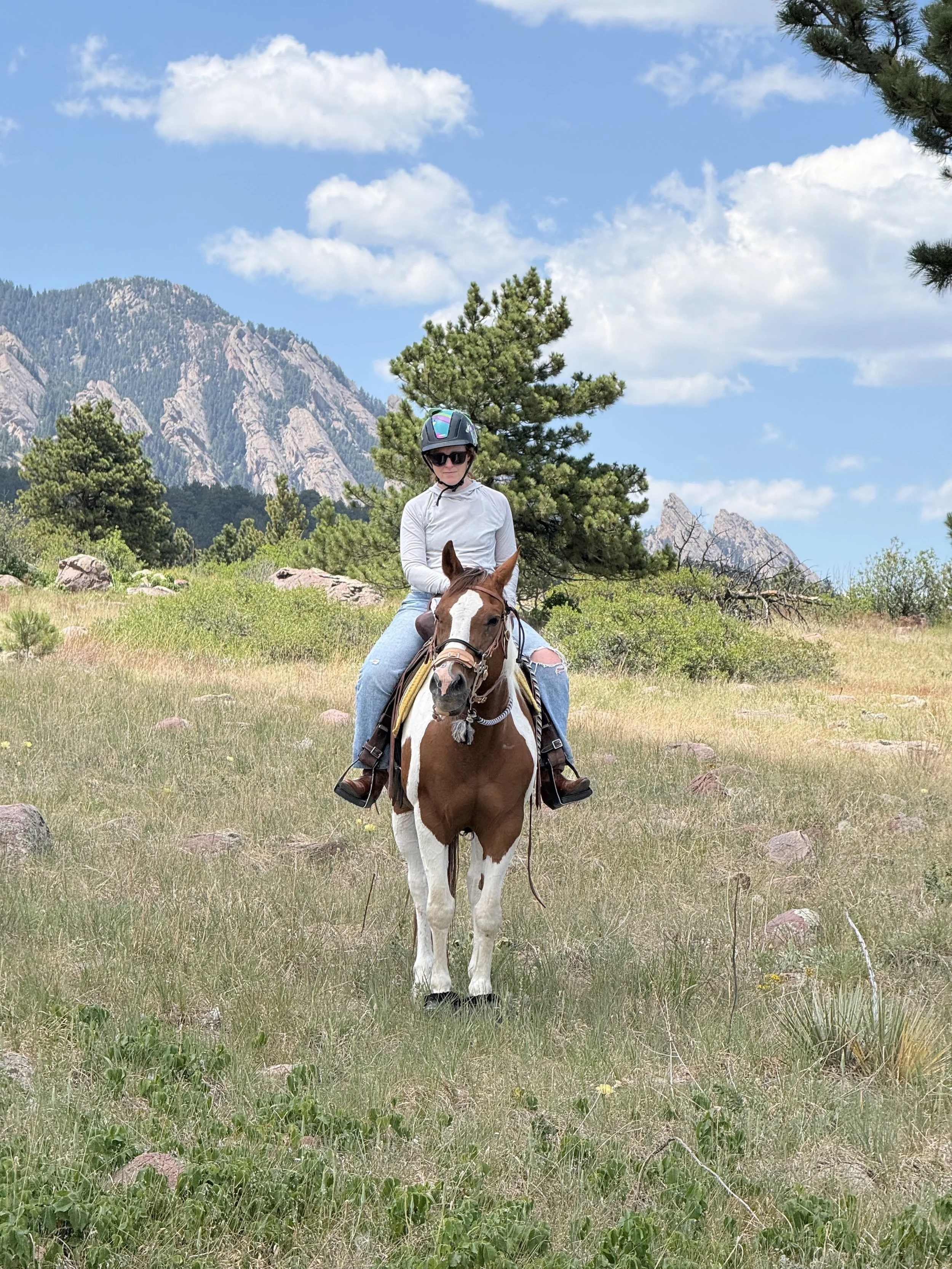 Horses 1.jpg
