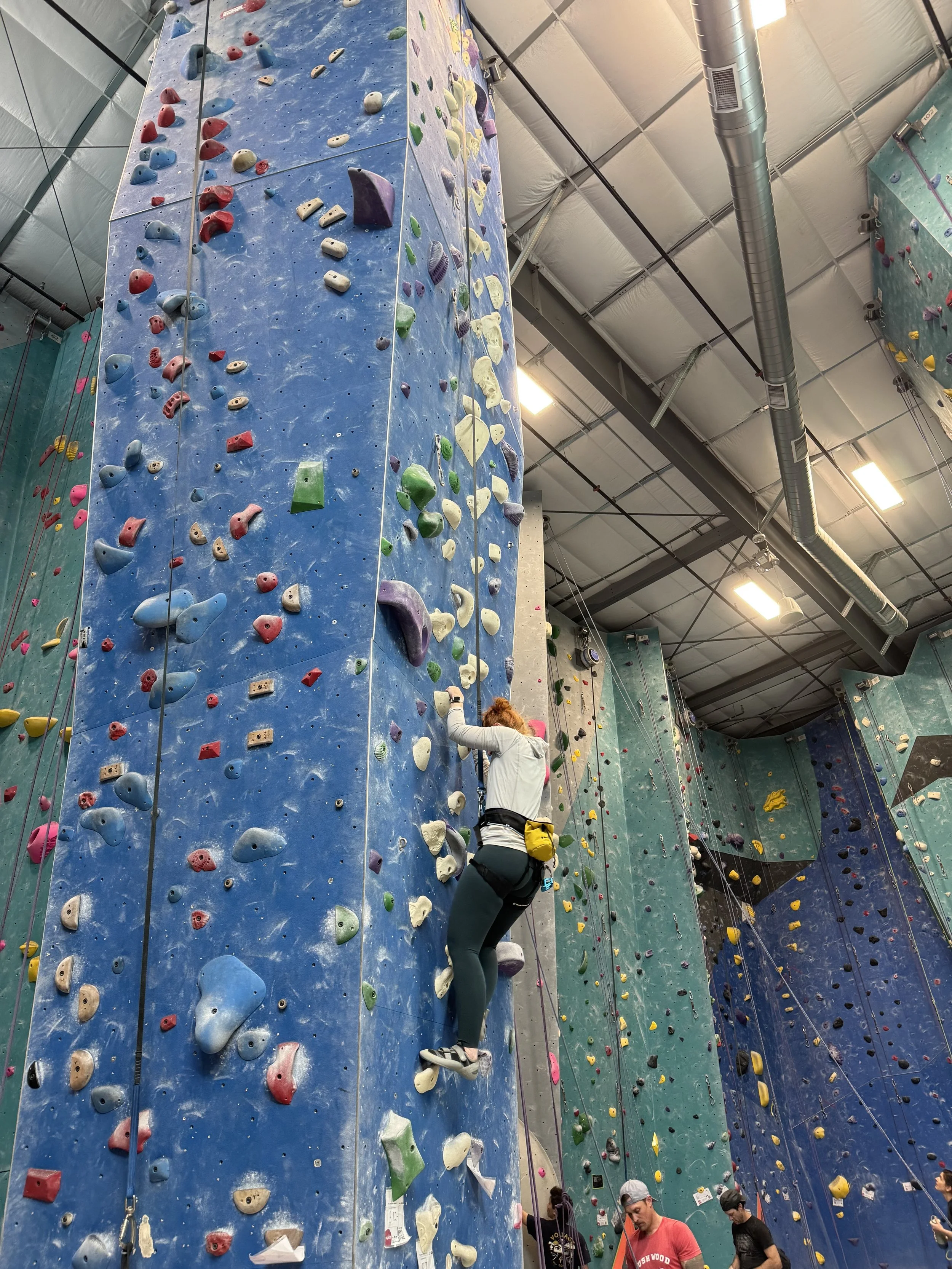 climbing.jpg