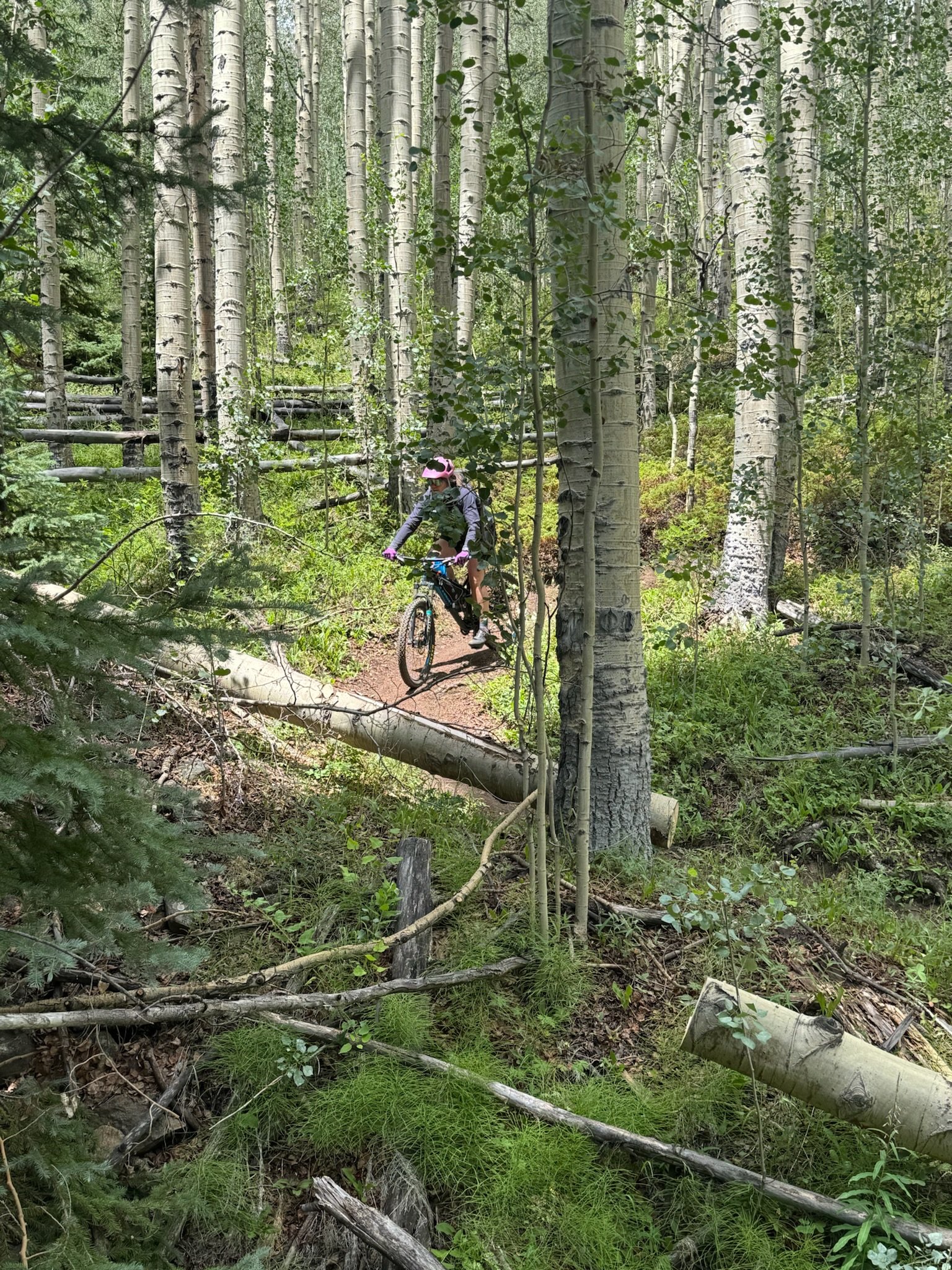 CO Trail 4.jpg