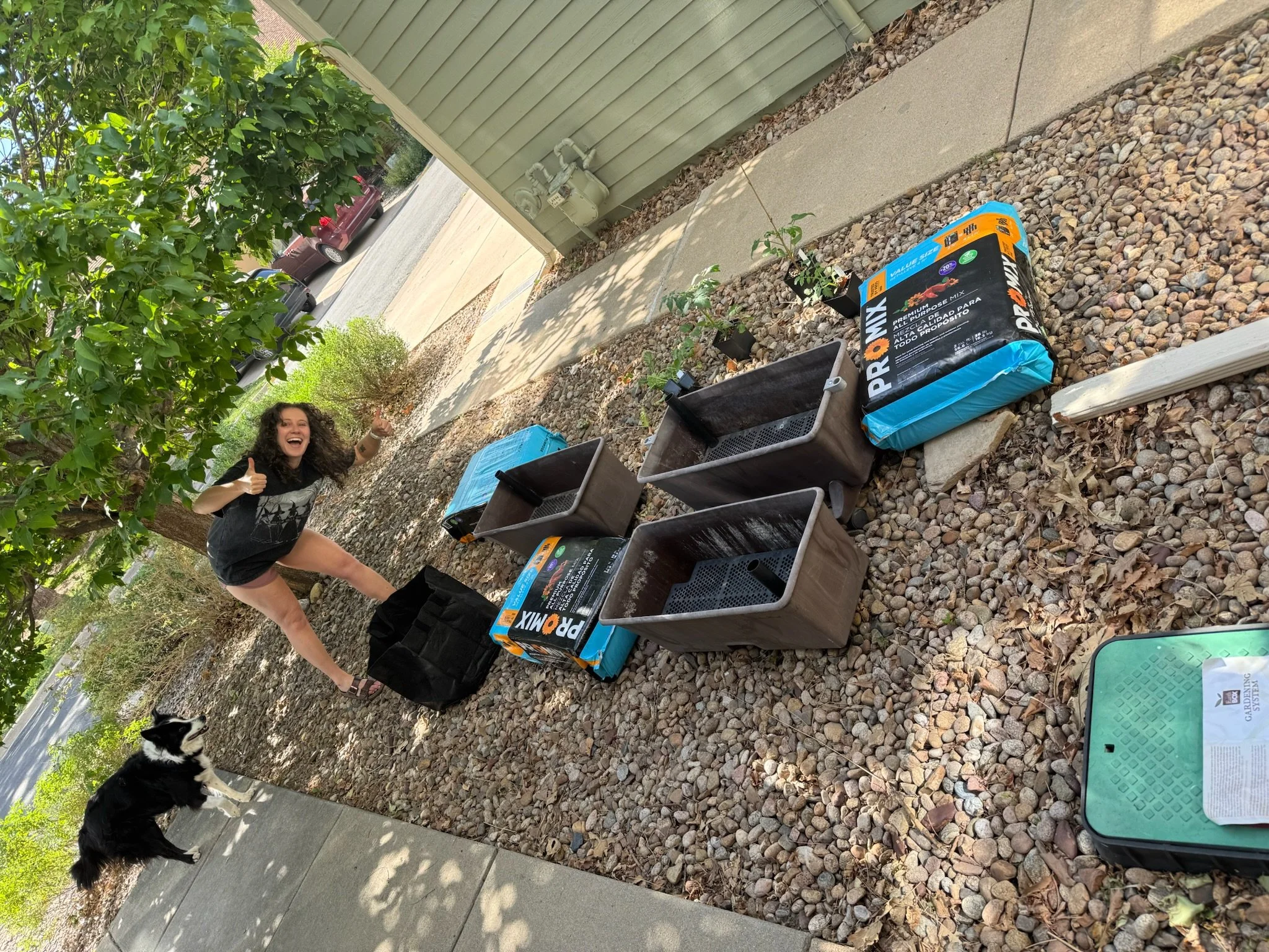 Garden 1.jpg