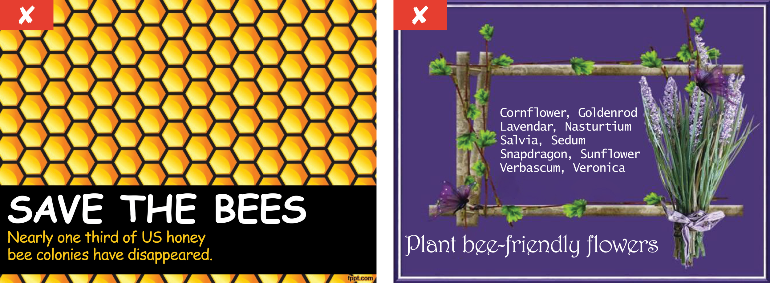 Their Version: No visual clues that the information all belongs together.
