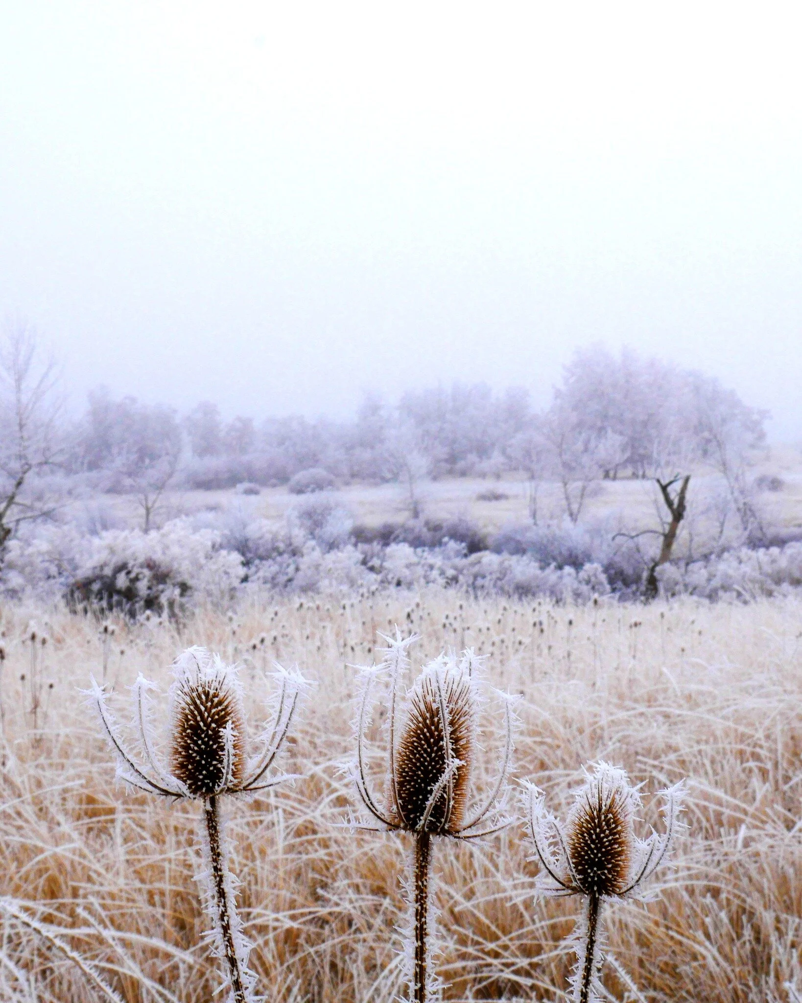 Cmbell Websites Branding And Digital Marketing