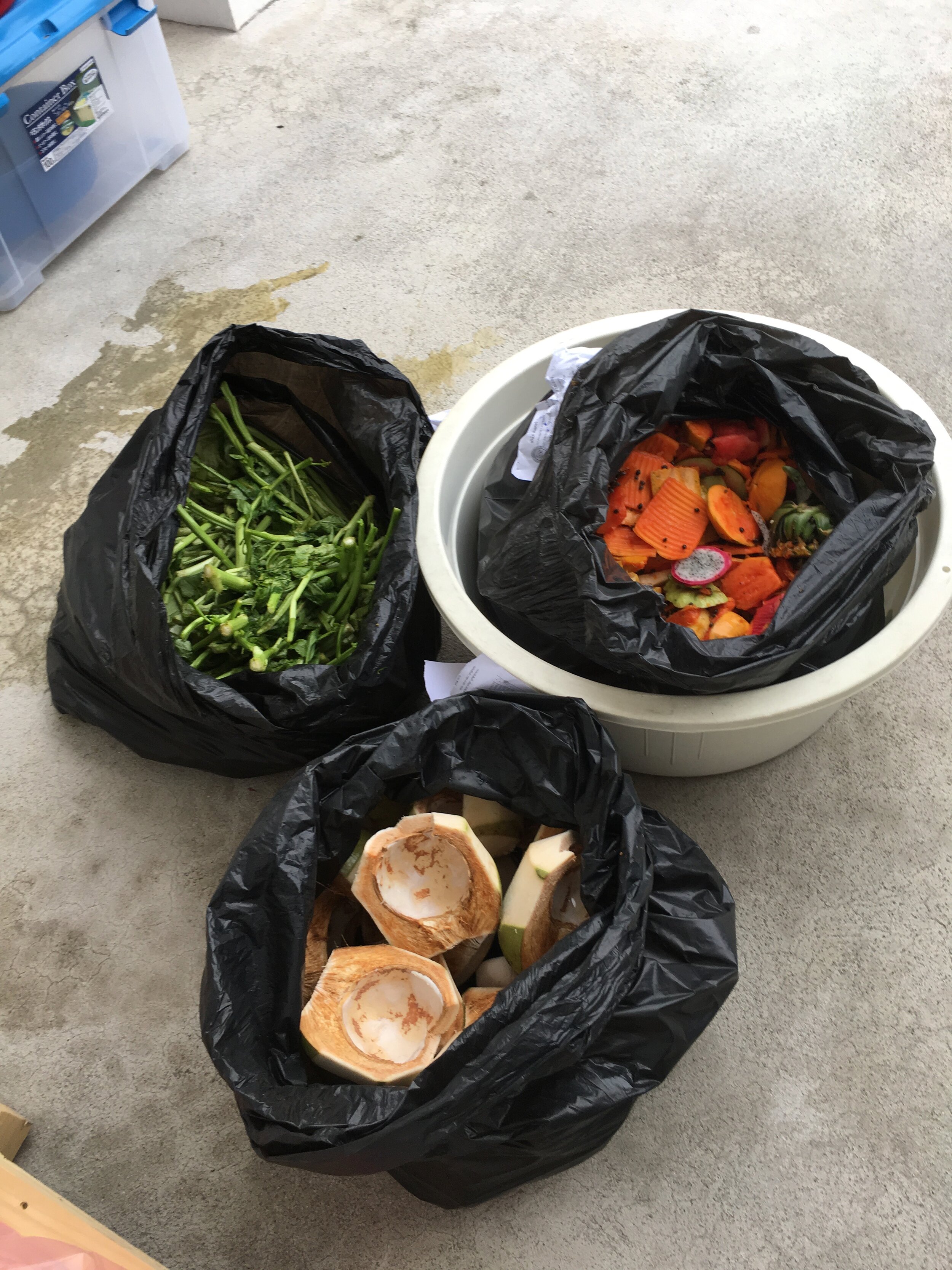 Pursonic FPR613 3 Litre Food Waste Processor & Composter