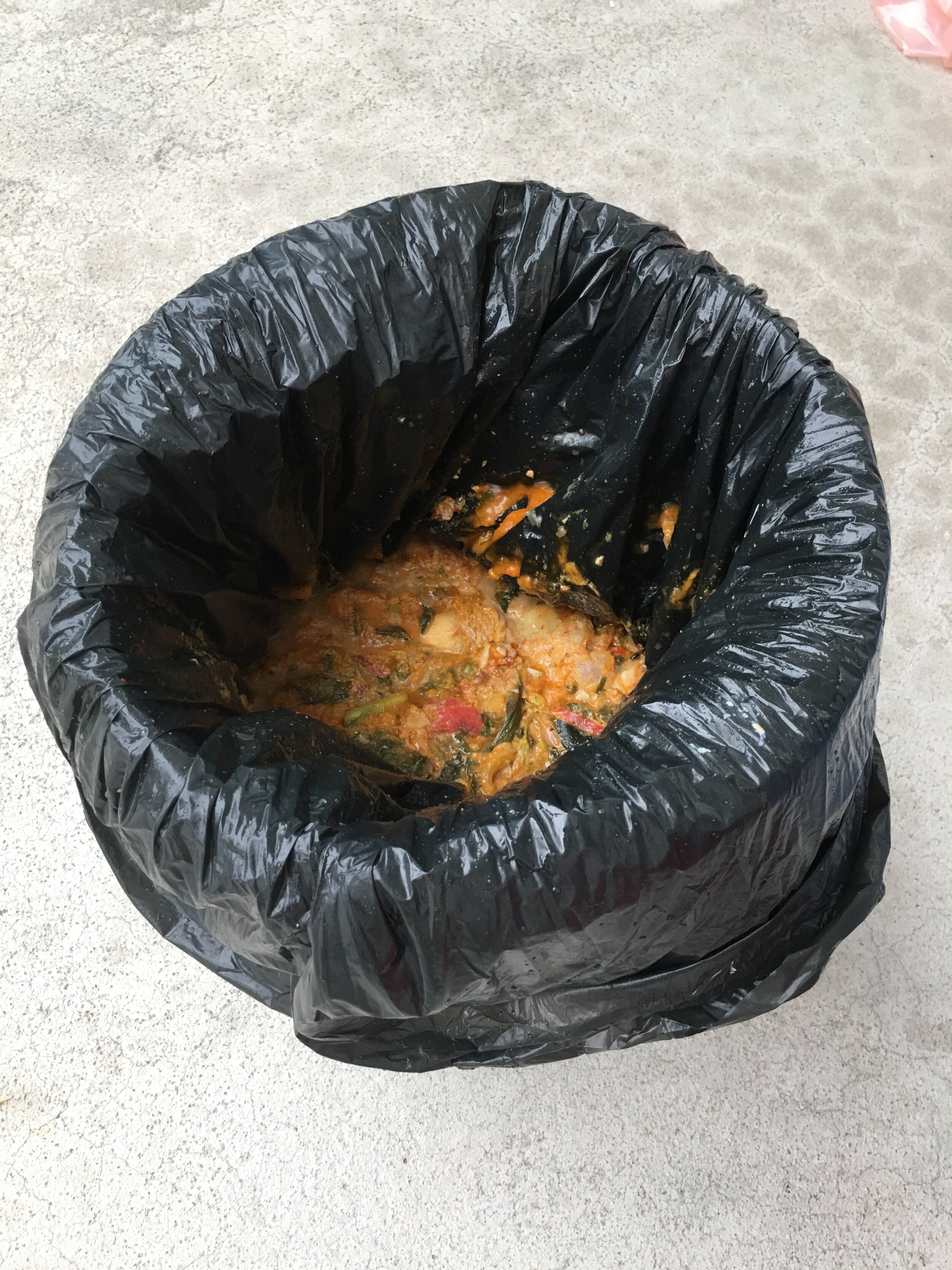 Day1_wet waste8Kg.jpg