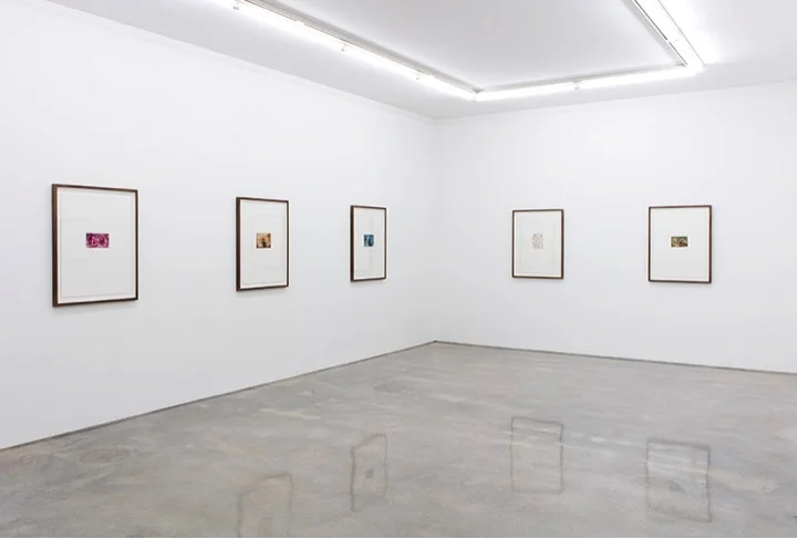 Trial Paintings, Installation view, Sarah Cottier Gallery, Sydney, 2017.