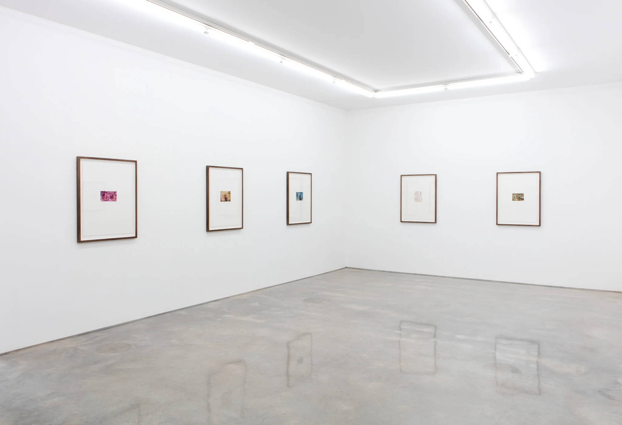 Trial Paintings, installation view, Sarah Cottier Gallery, Sydney.