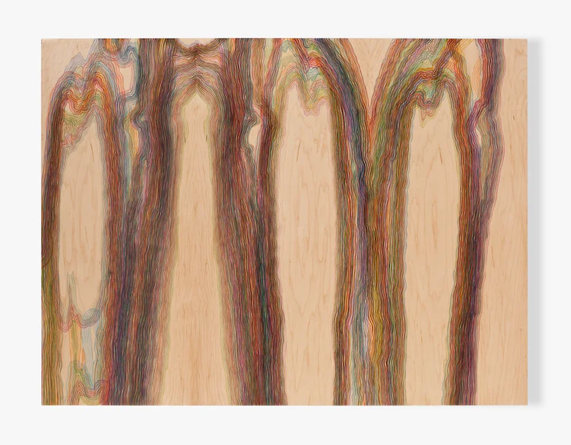   Wood Grain (5),  oil on panel, 36x48inches, 2011 