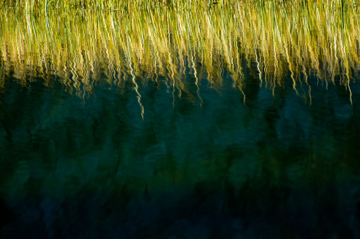 Rush along Treasure Lake in the Eastern Sierra Nevada along the Masquito Trail in Central California on Oct 8, 2008.
